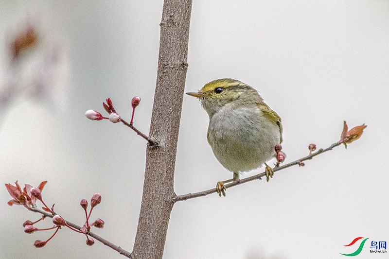DSC_0874-.jpg
