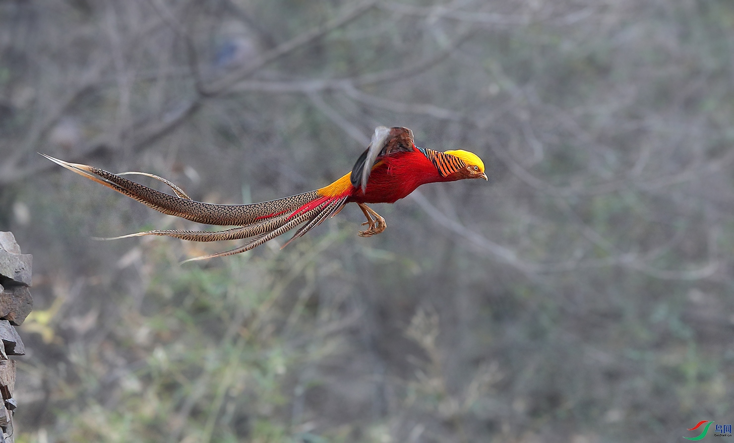 _58I0107-.jpg