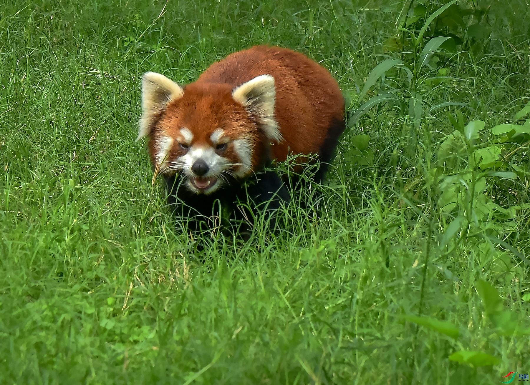 DSC_1213---_conew1.jpg