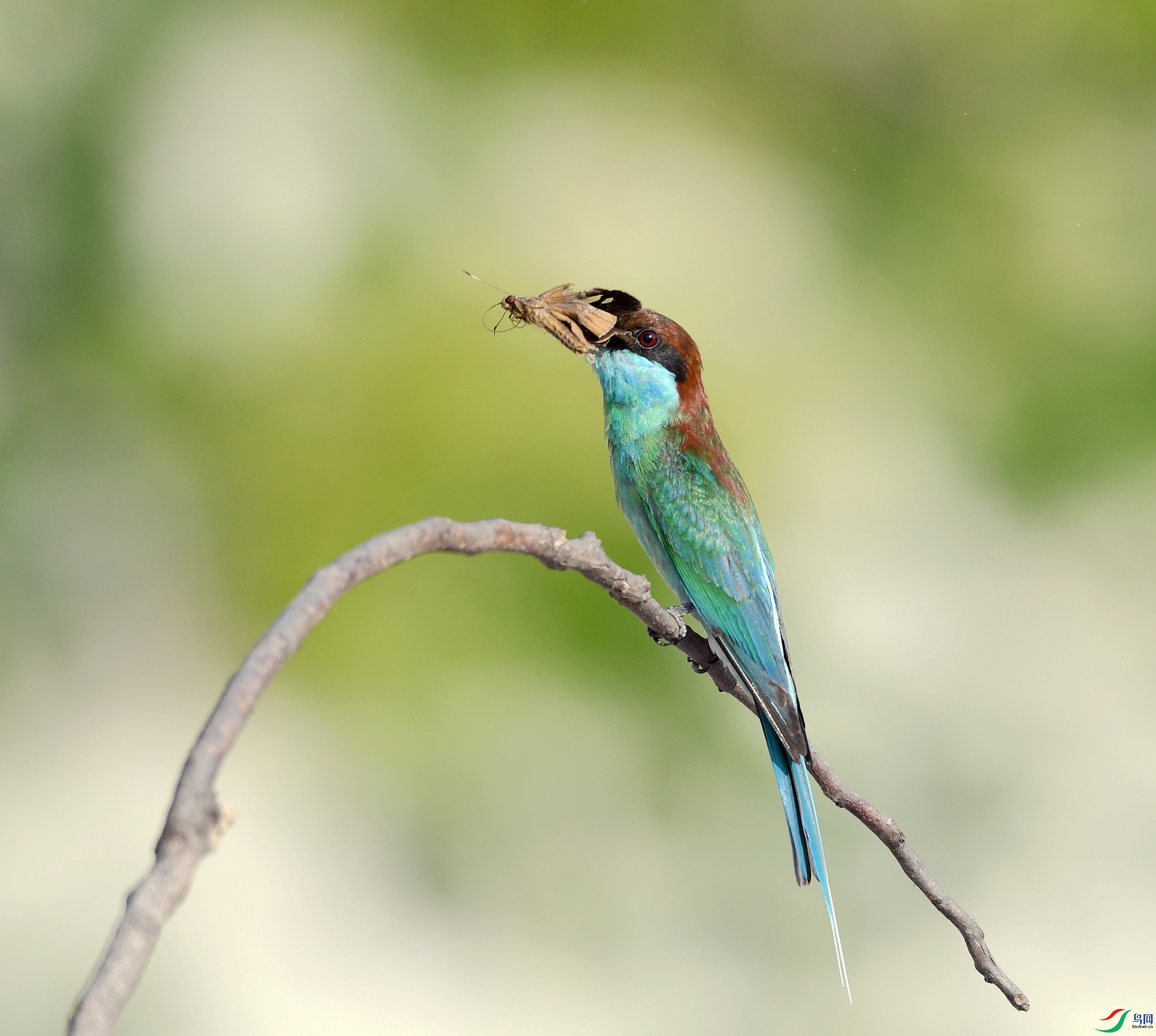 DSC_4569.jpg