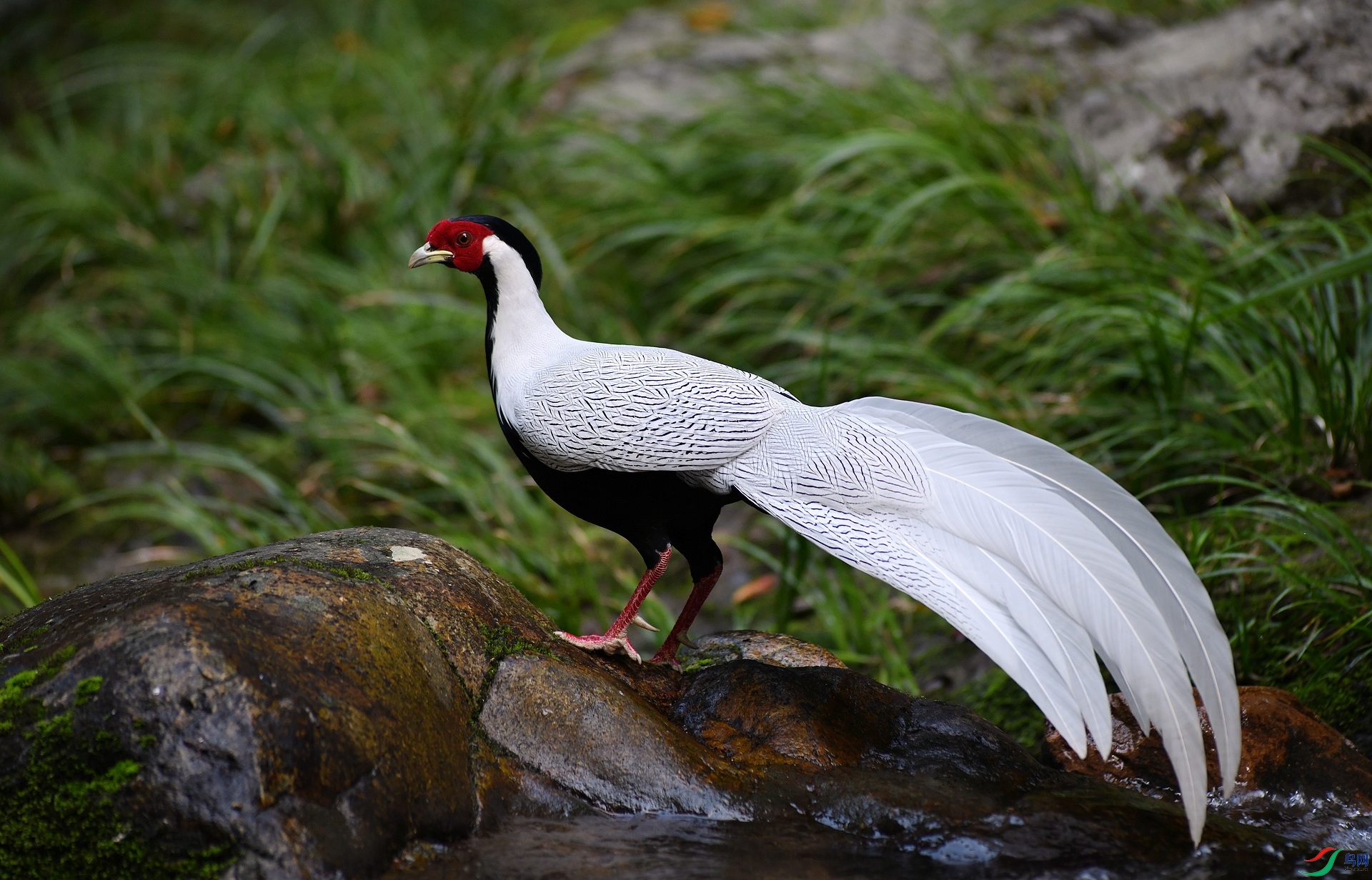 DSC_3995.jpg