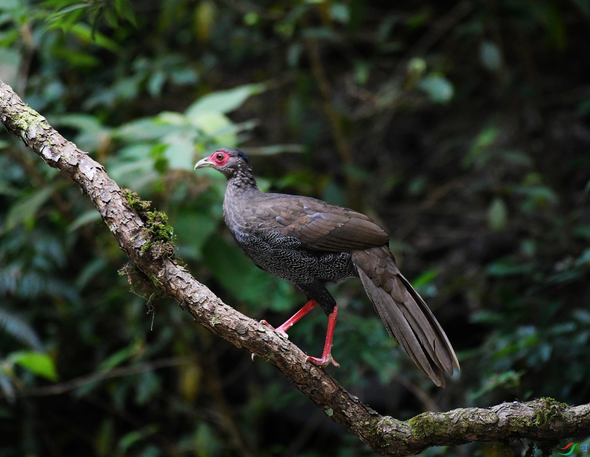DSC_4500.jpg