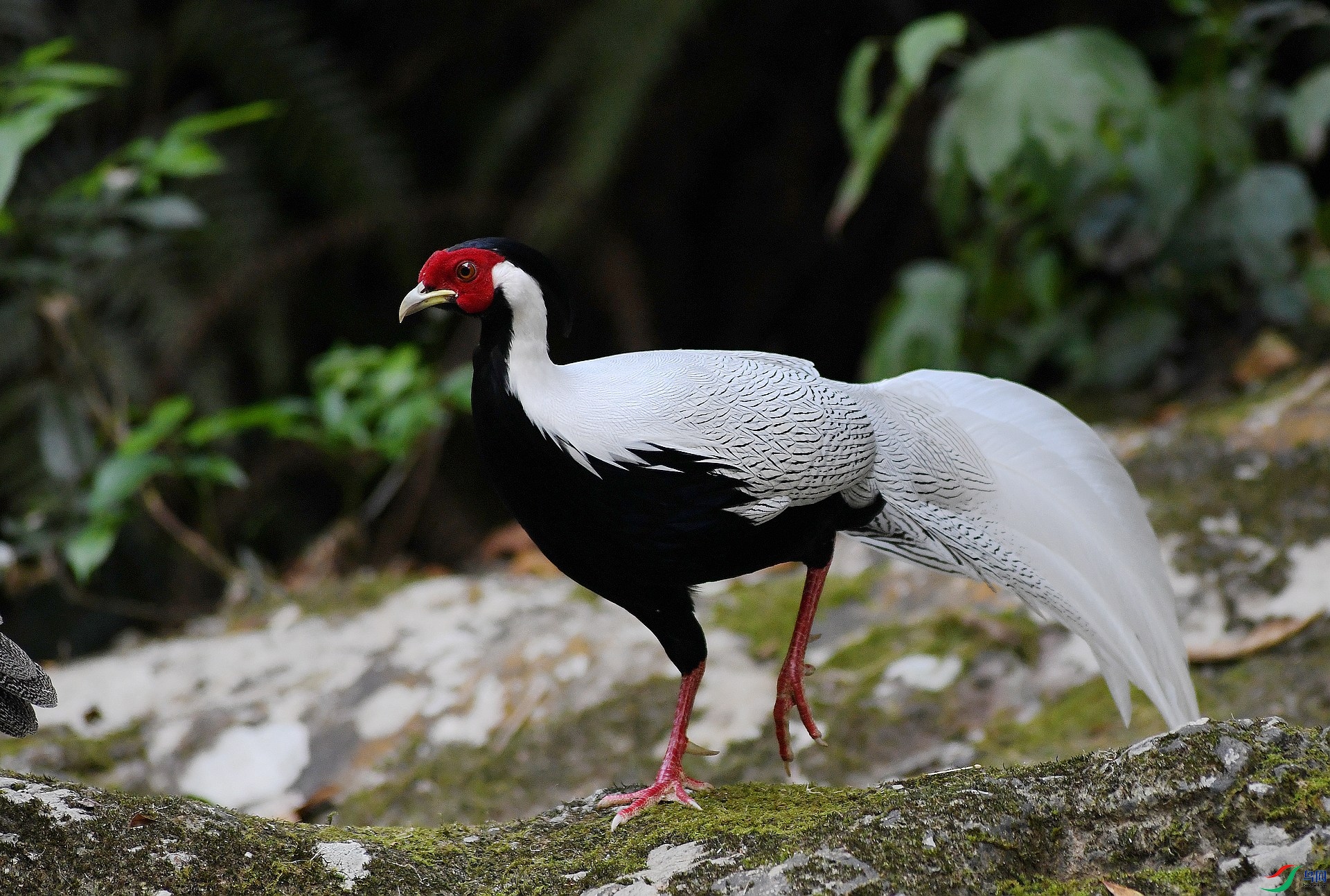 DSC_3971.jpg