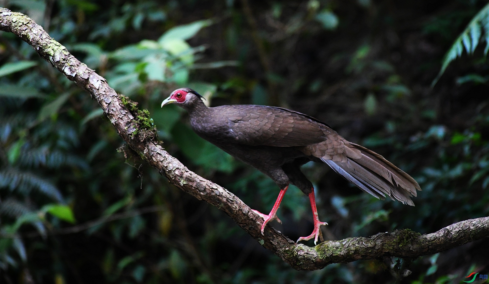DSC_4254.jpg