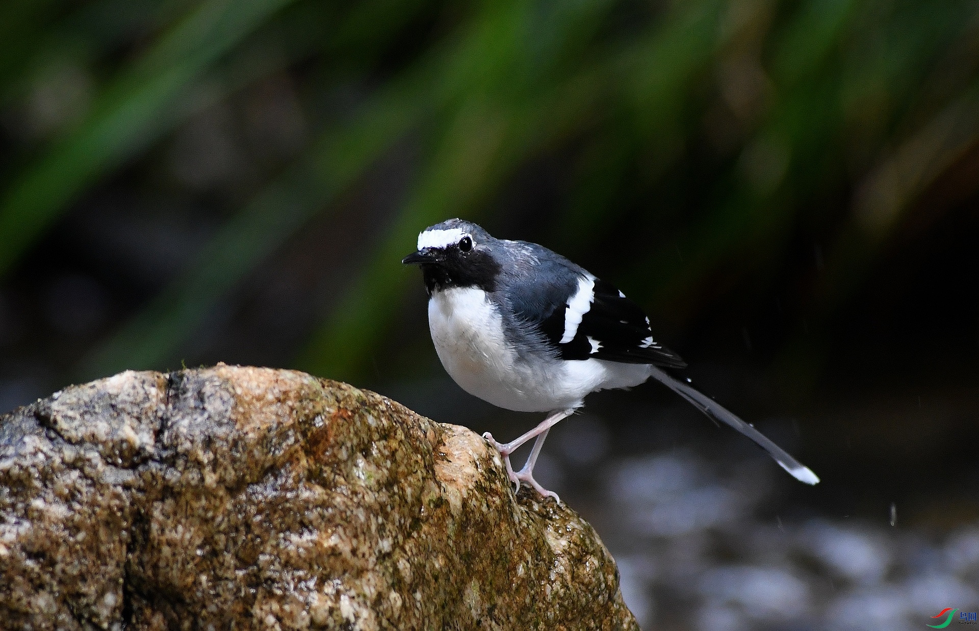 DSC_3877.jpg