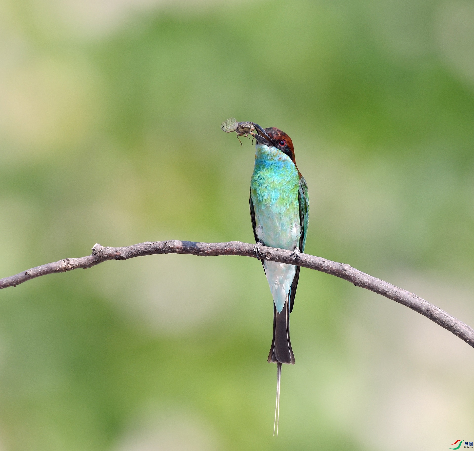 DSC_3864.jpg