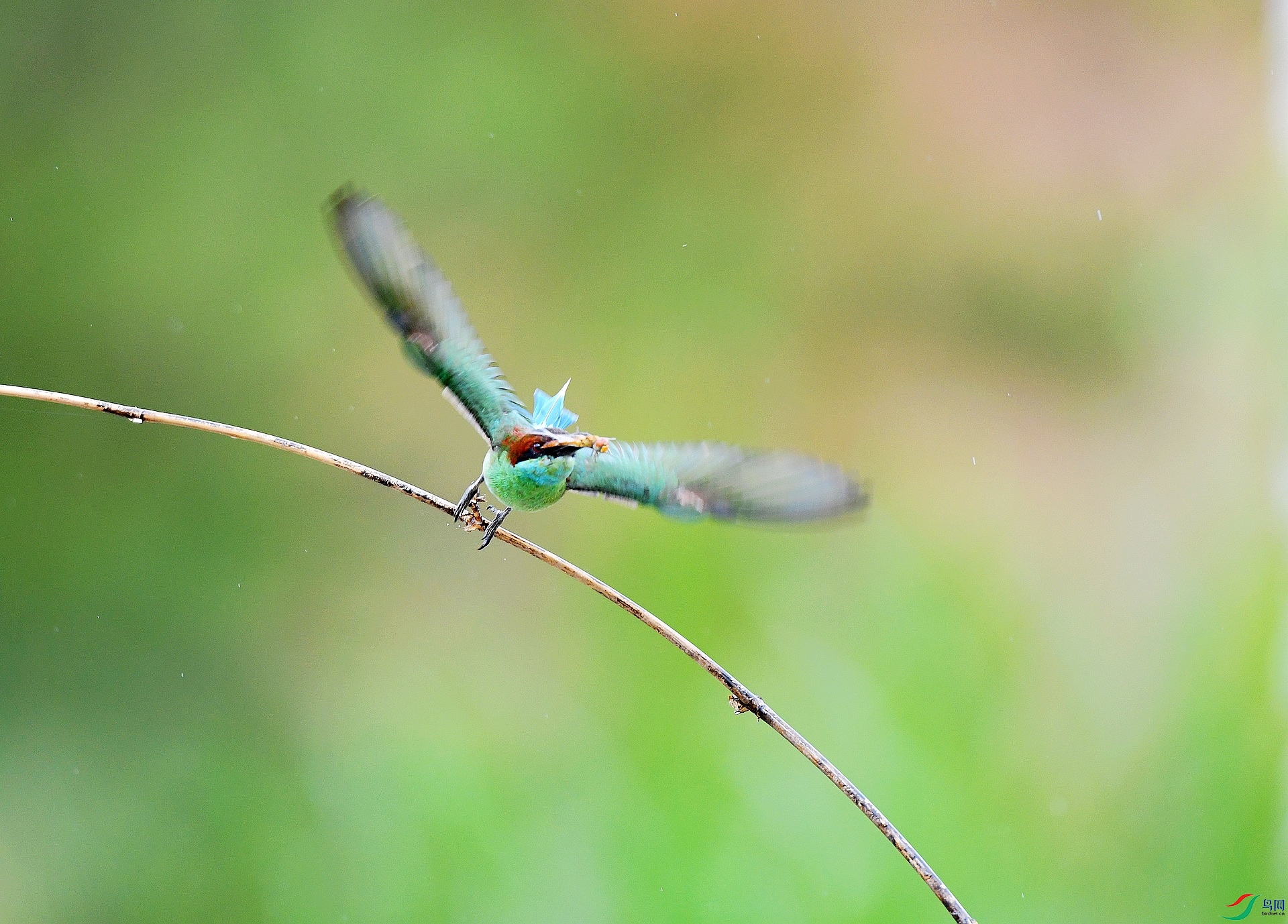 DSC_3747.jpg
