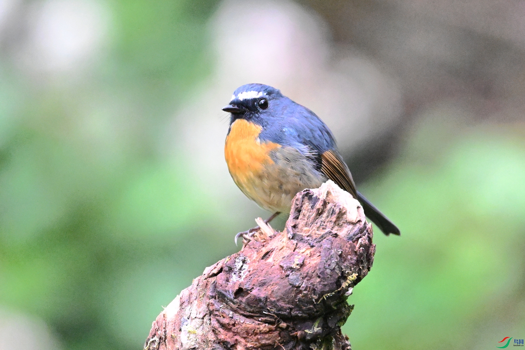 DSC_7060.JPG