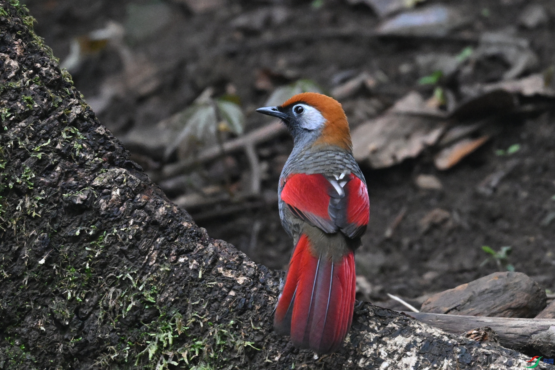 DSC_7118.JPG