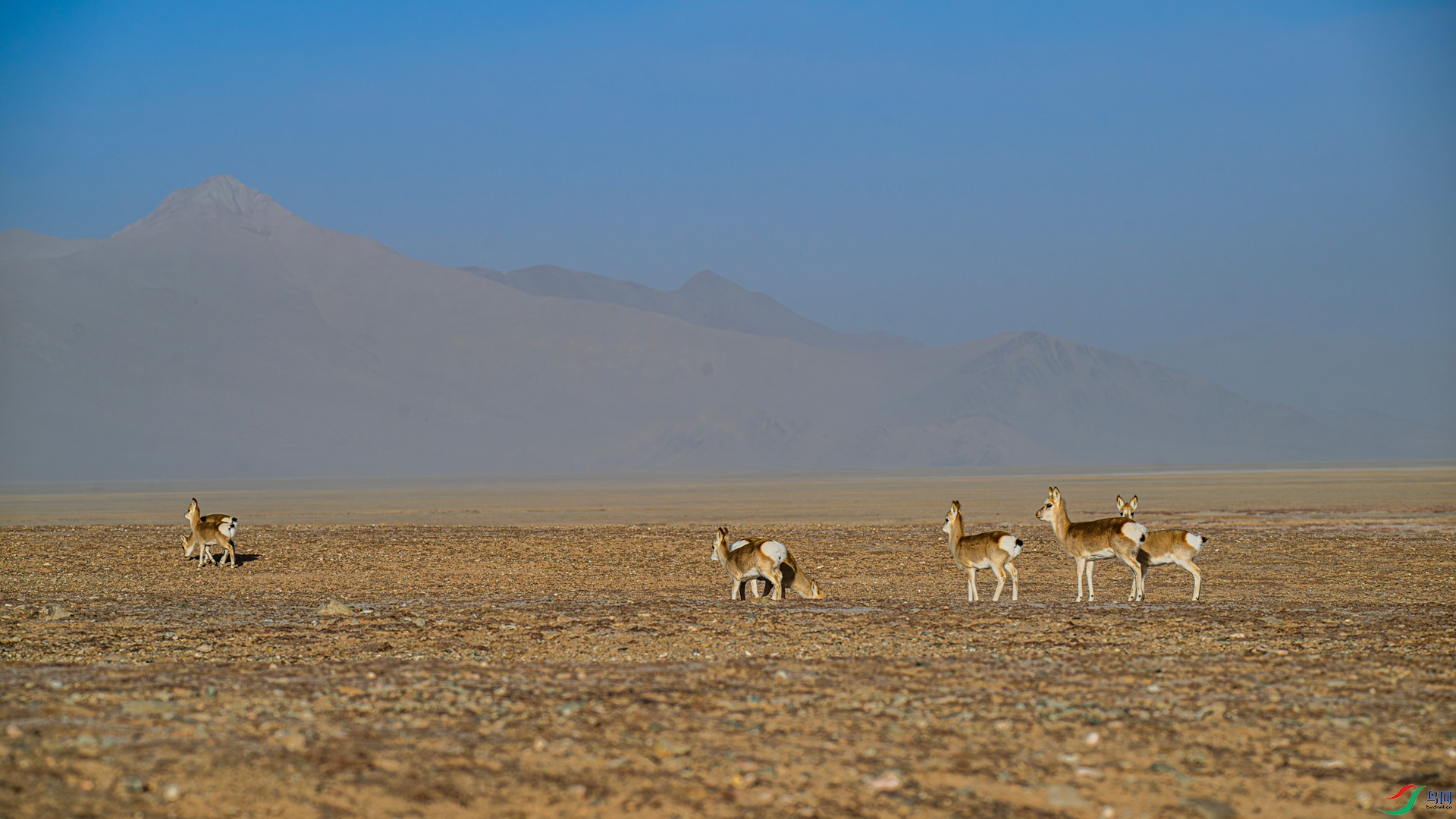 _DSC5258_����.jpg