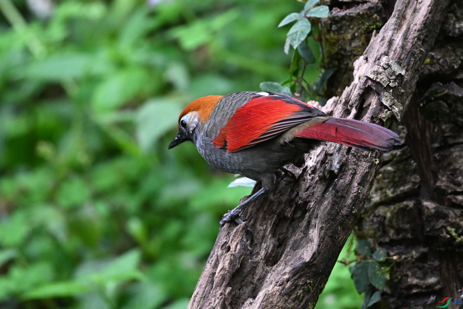 DSC_7120.JPG