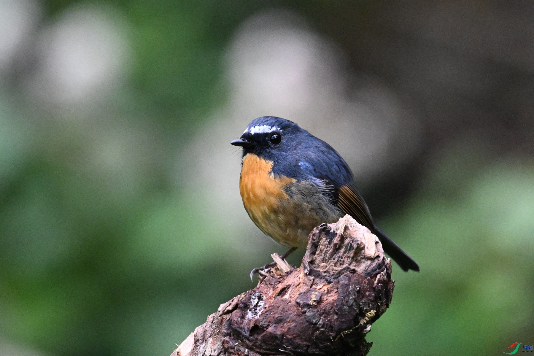 DSC_7064.JPG