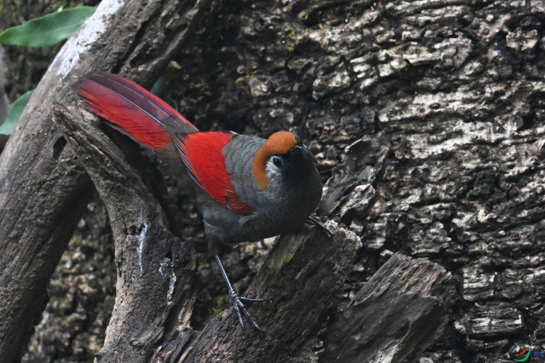 DSC_7111.JPG