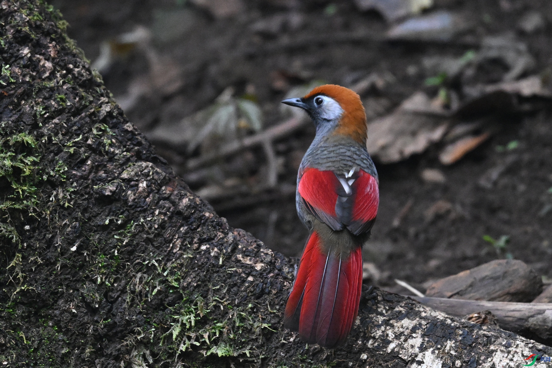 DSC_7114.JPG