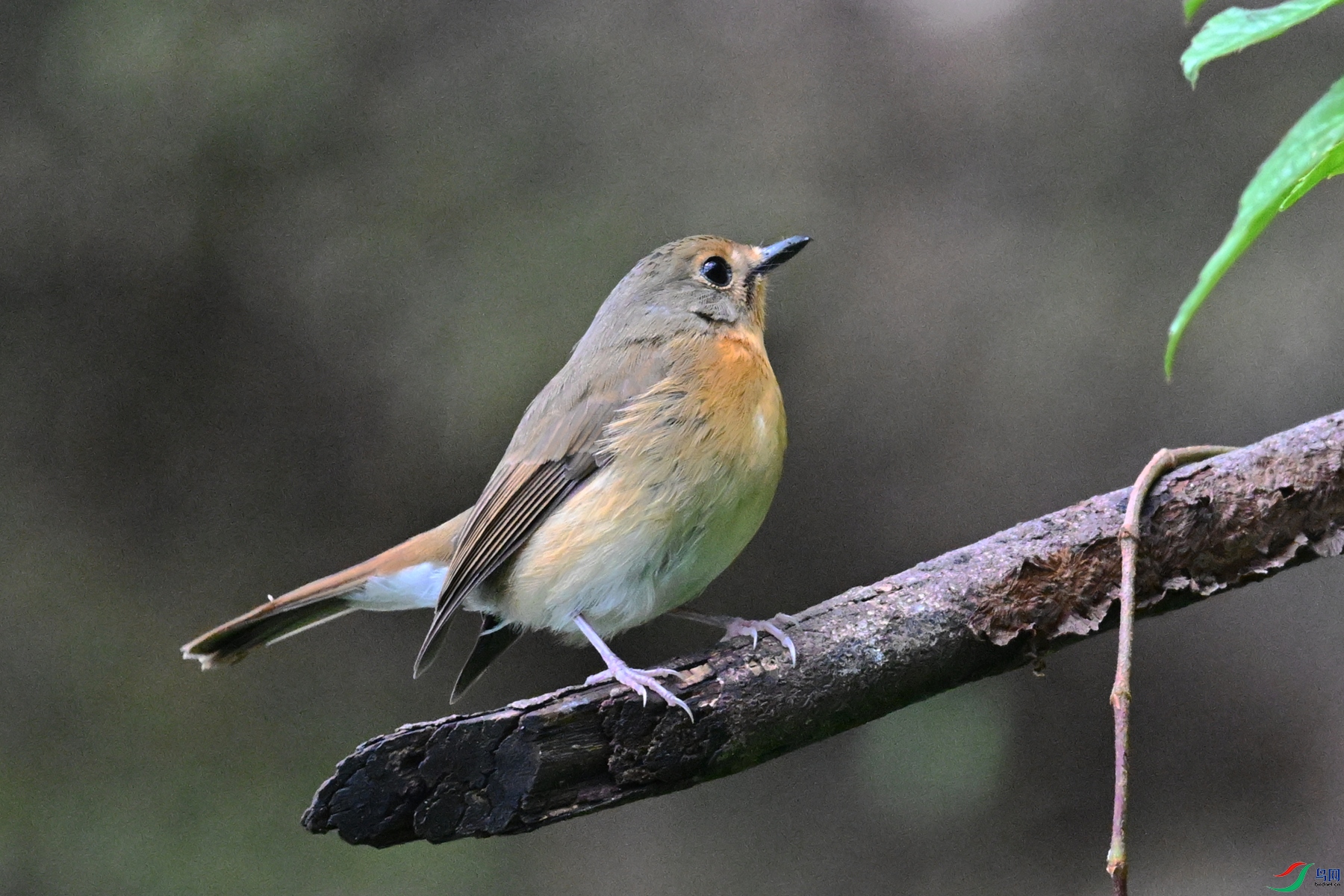 DSC_7095.JPG