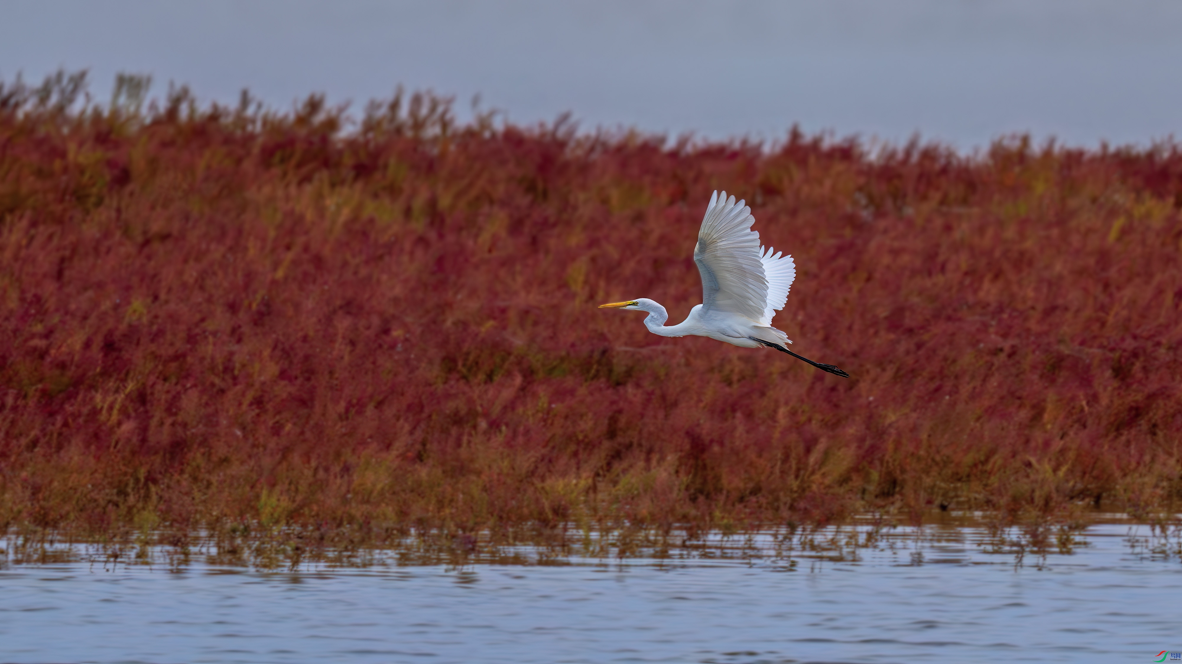 DSC_3149.jpg