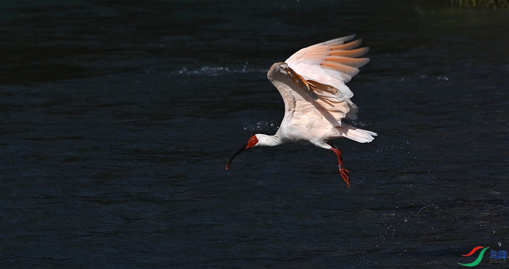 DSC_3124.JPG