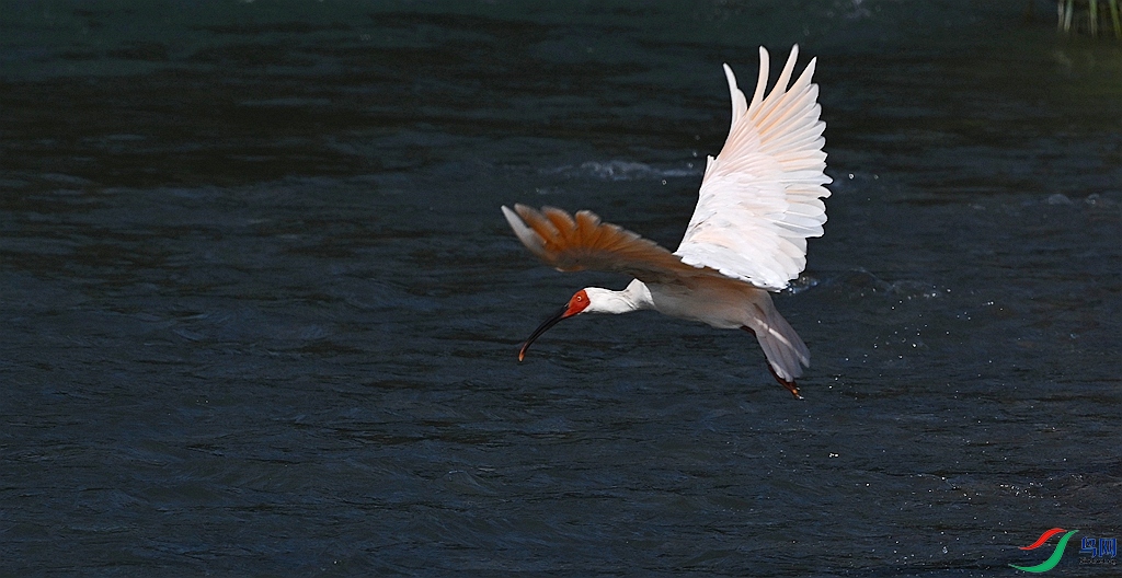 DSC_3125.JPG