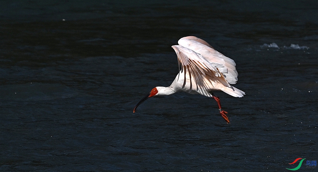 DSC_3127.JPG