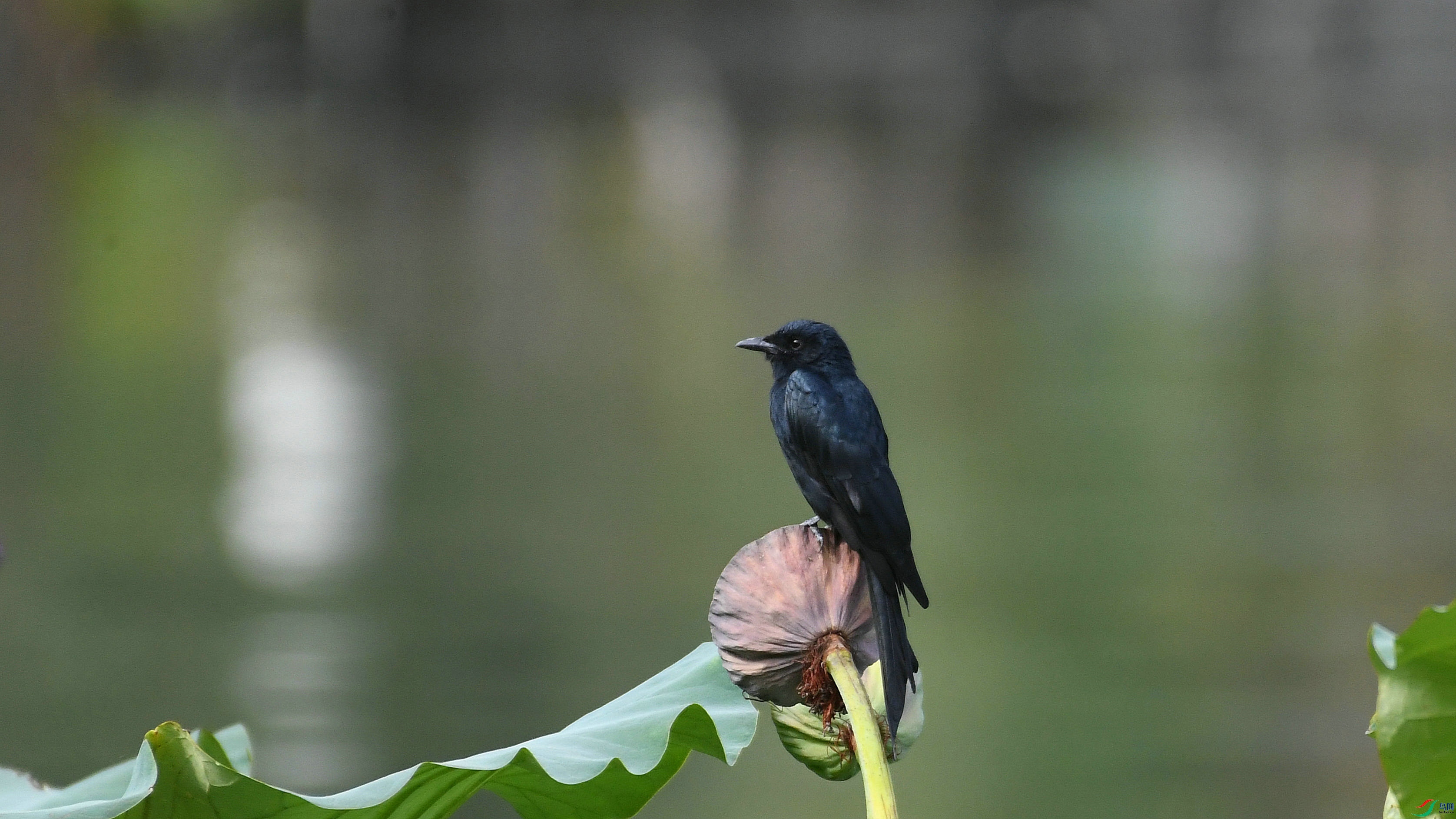 DSC_8418.JPG