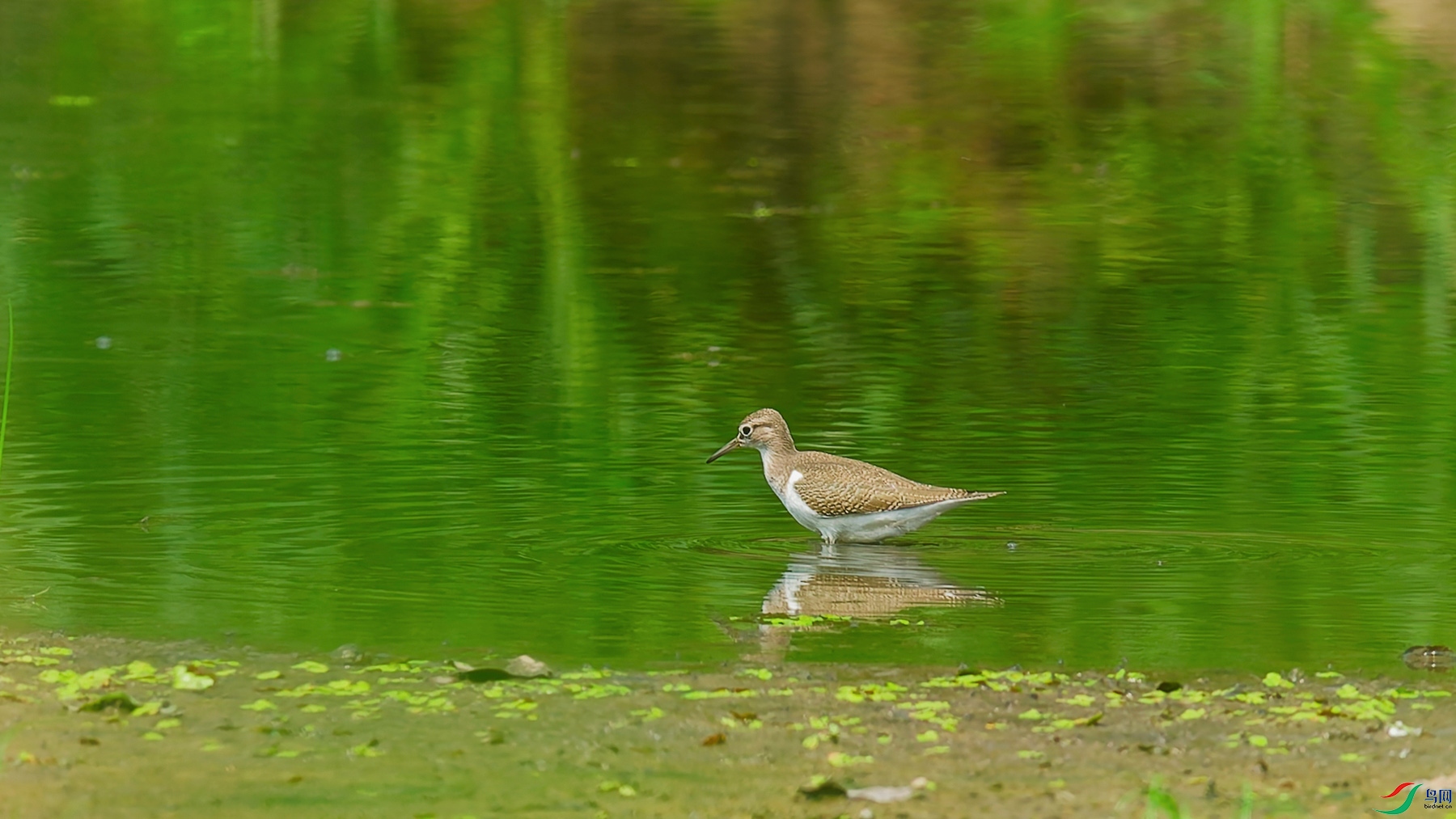 DSC_9710_DxO_DxO.jpga.jpg