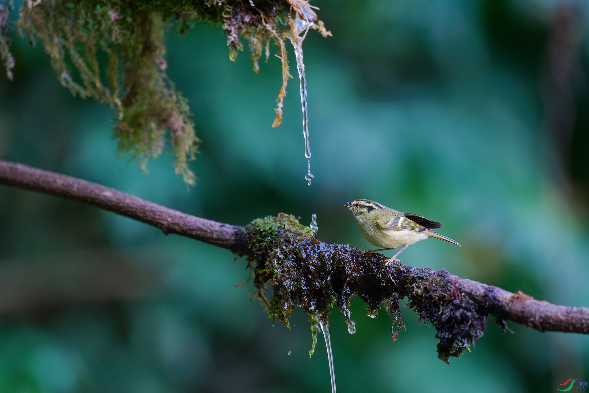 DSC_2387_DxO_DxOa.jpg