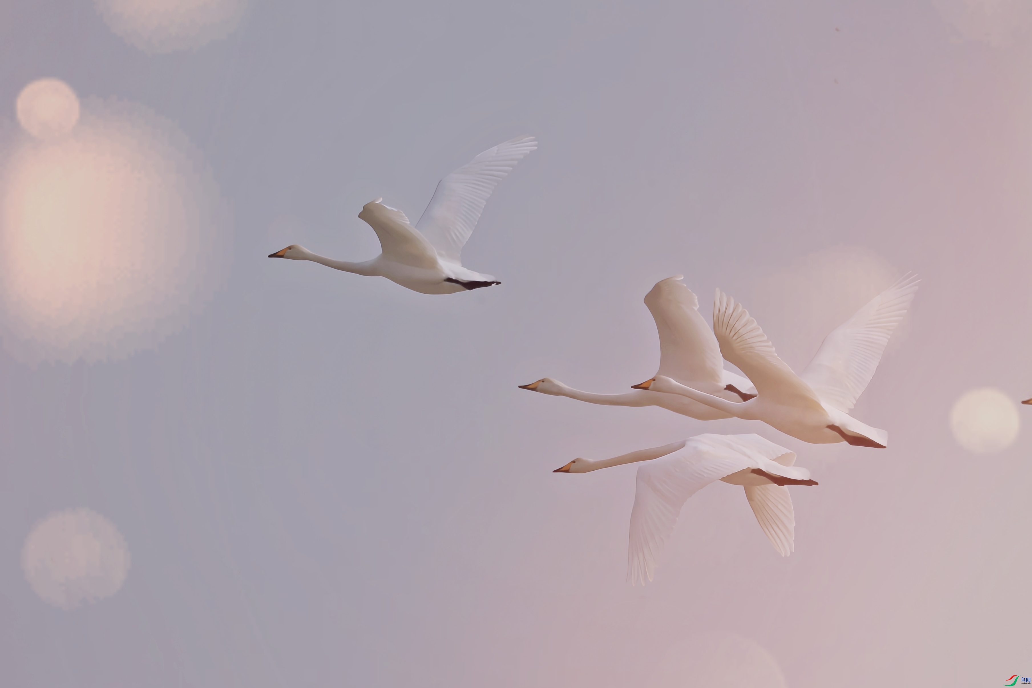 AS8I8041_����.jpg