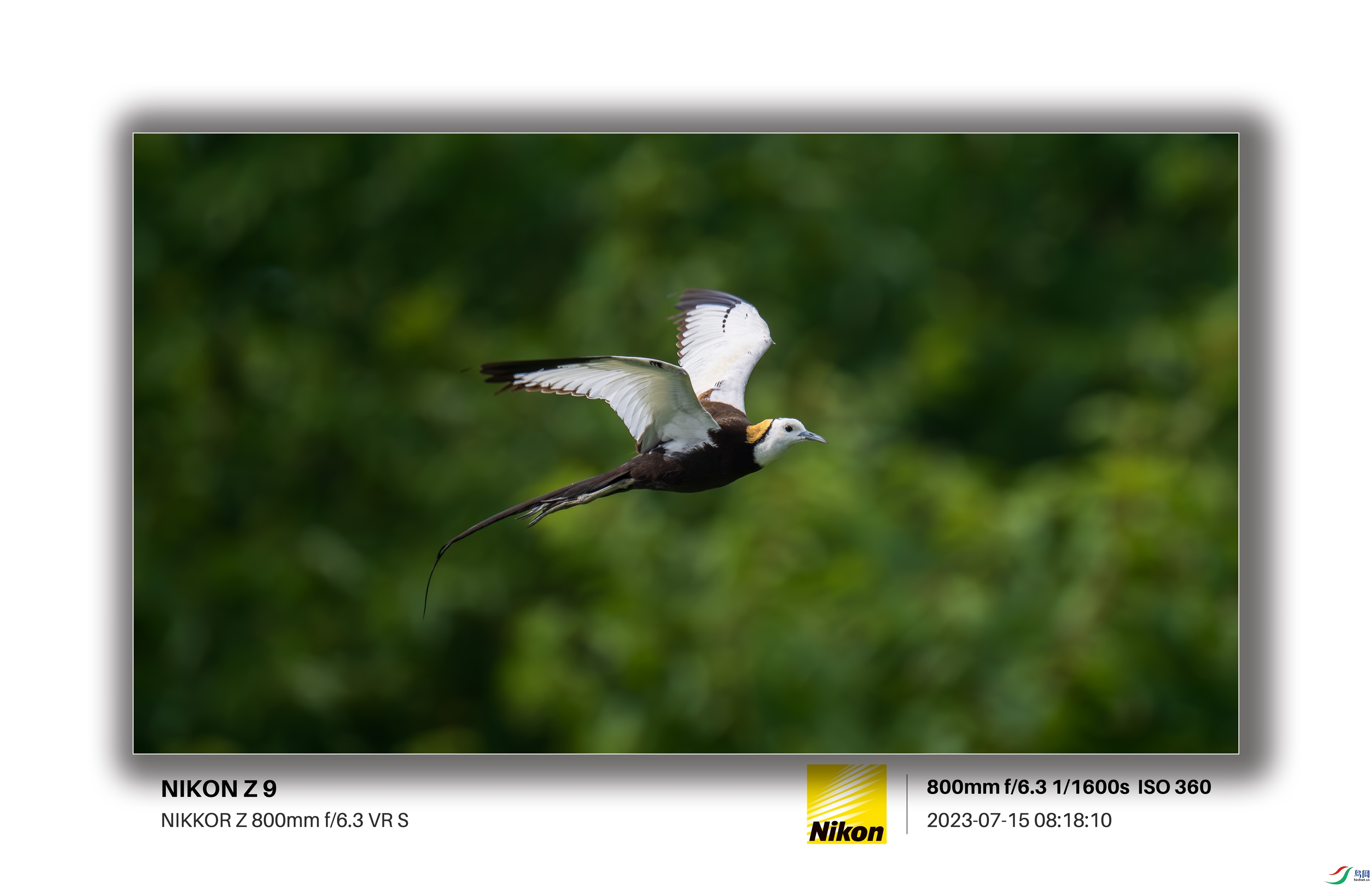 DSC_2236.jpg
