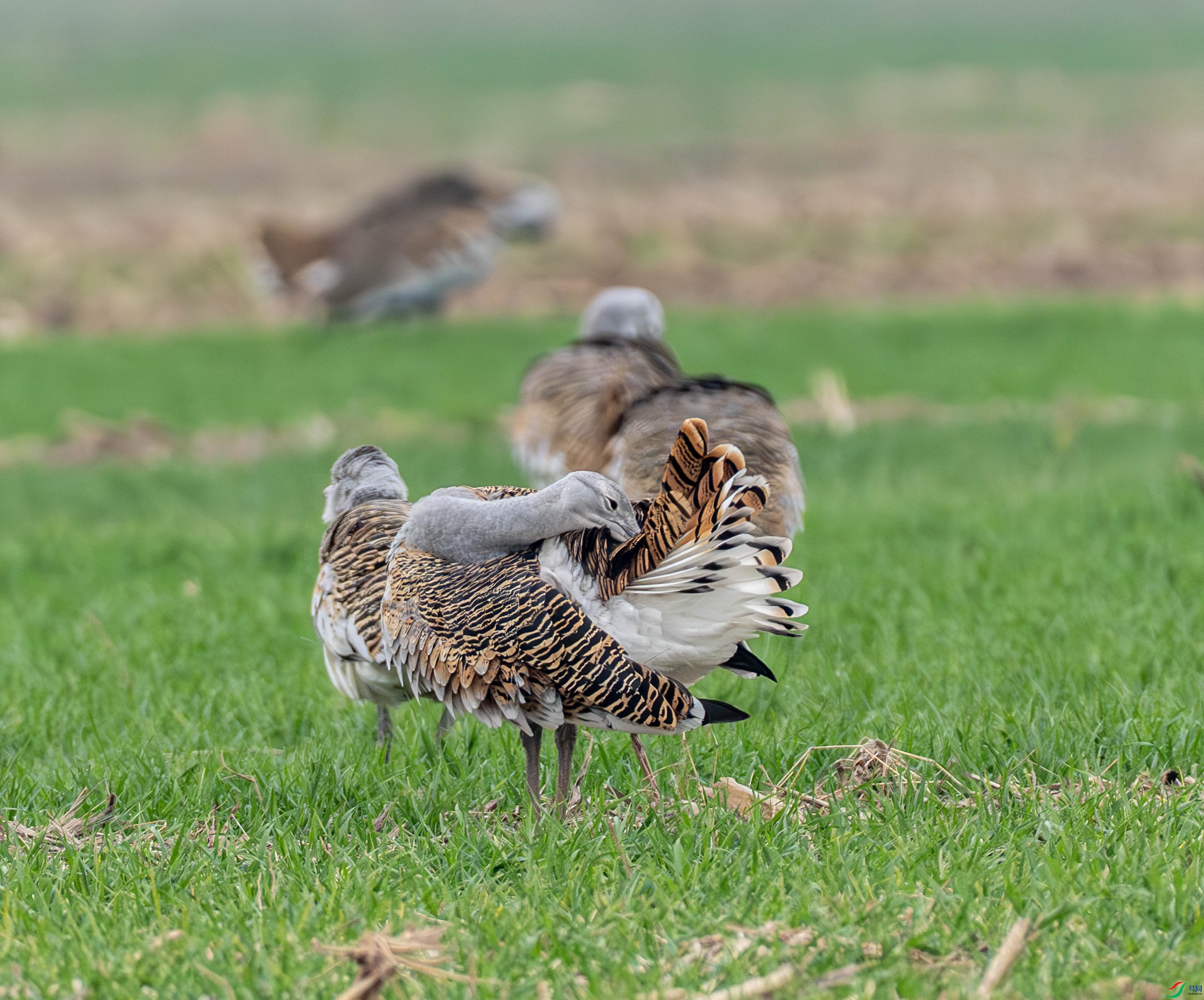 ���-14-14.jpg