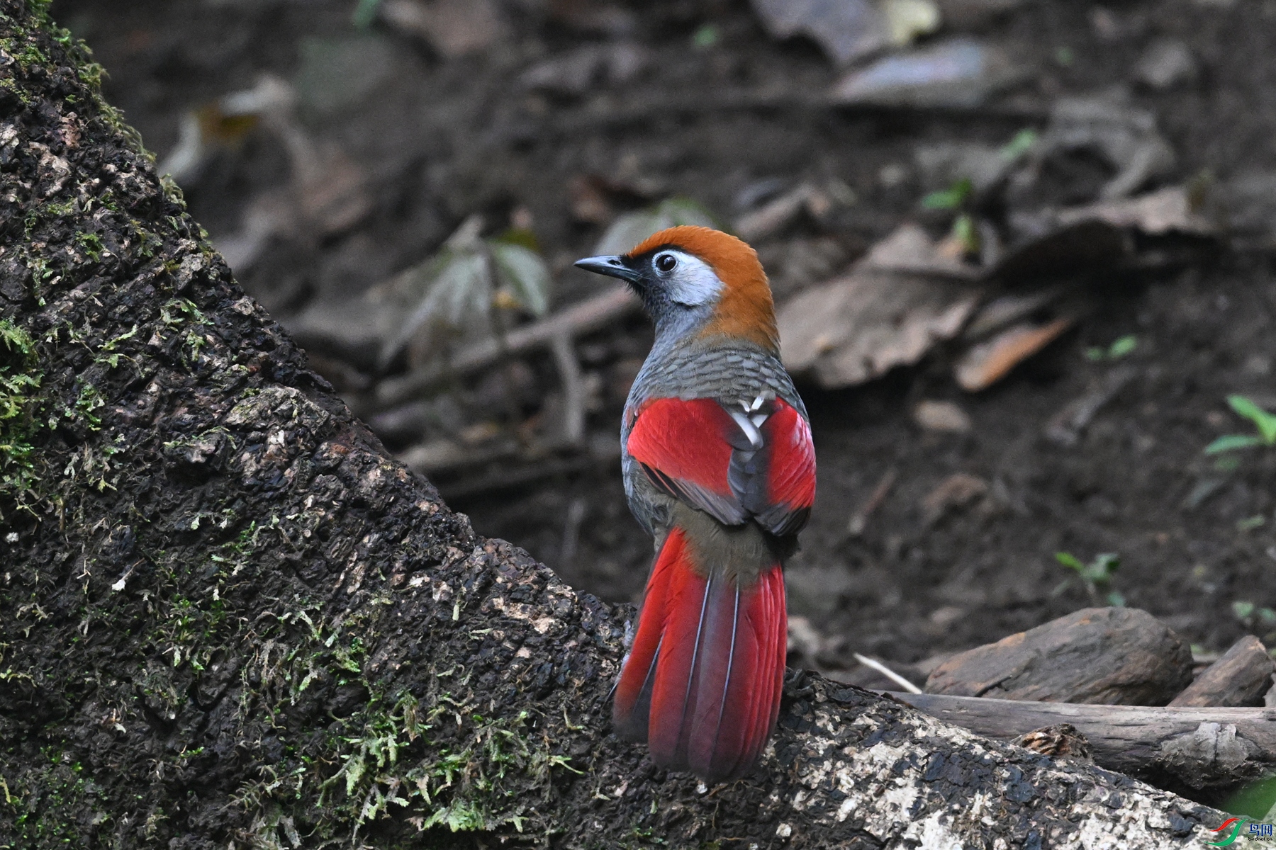 DSC_7119.JPG