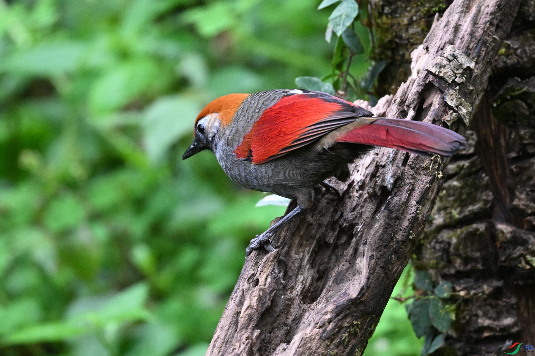 DSC_7122.JPG