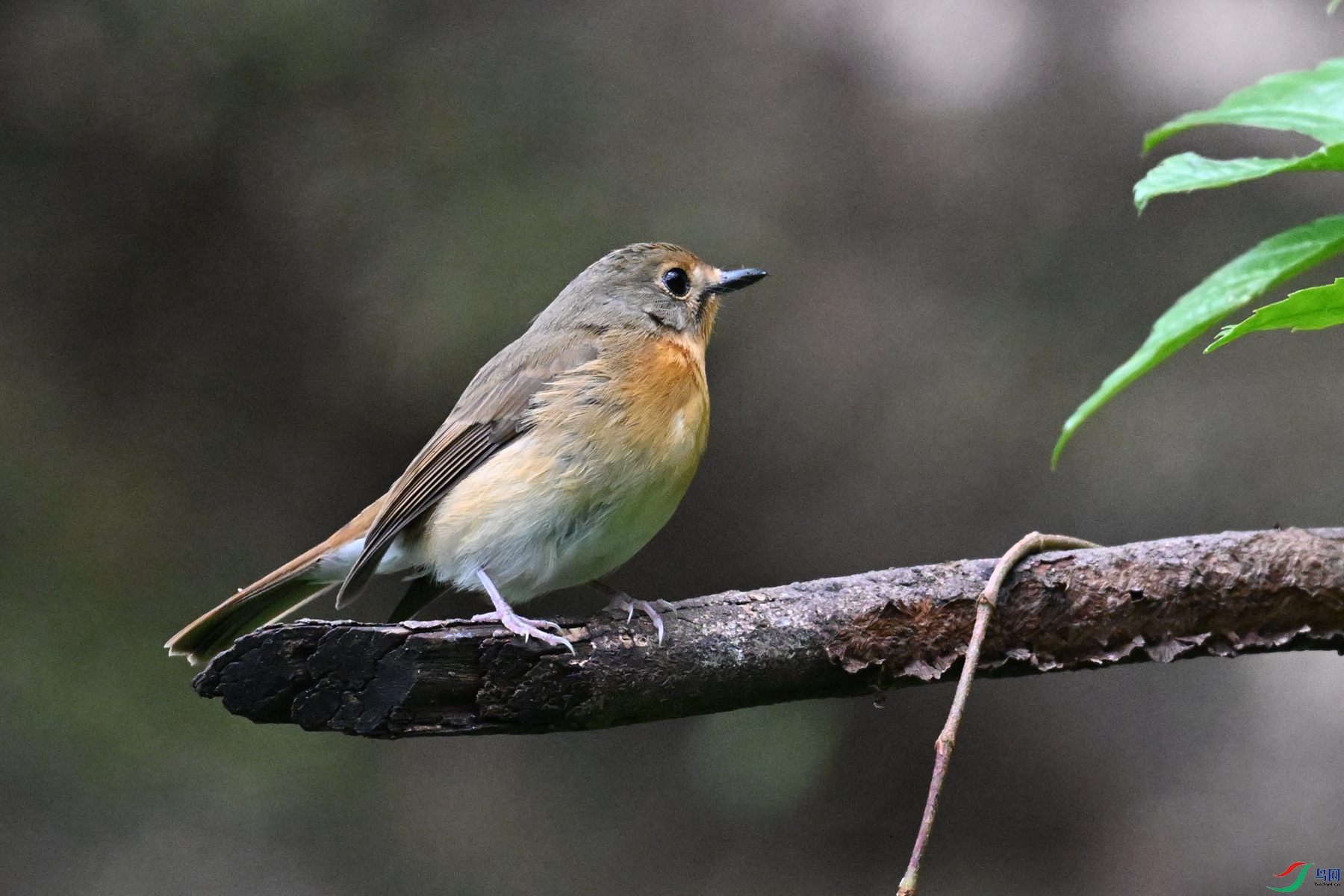 DSC_7098.JPG