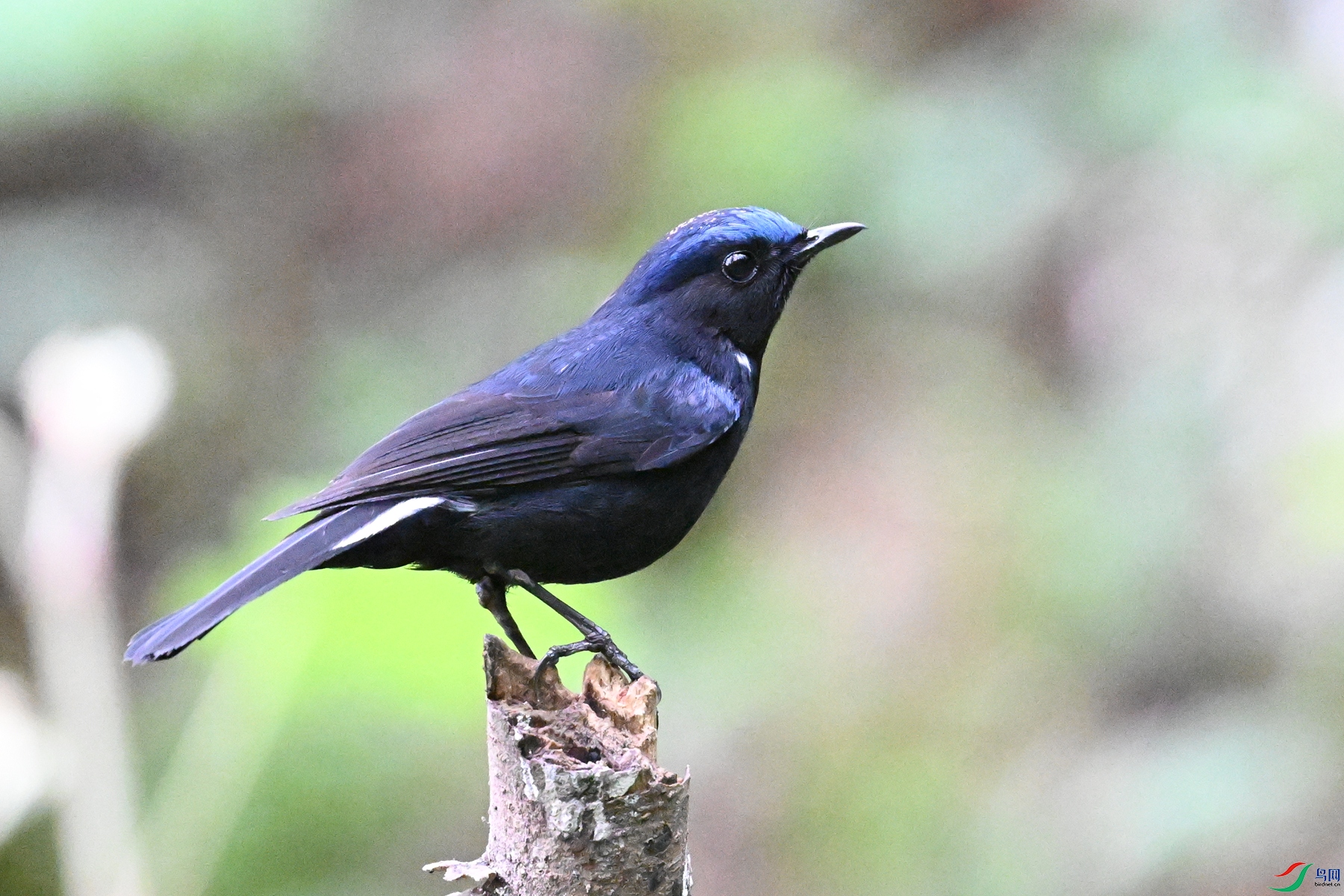 DSC_7102.JPG