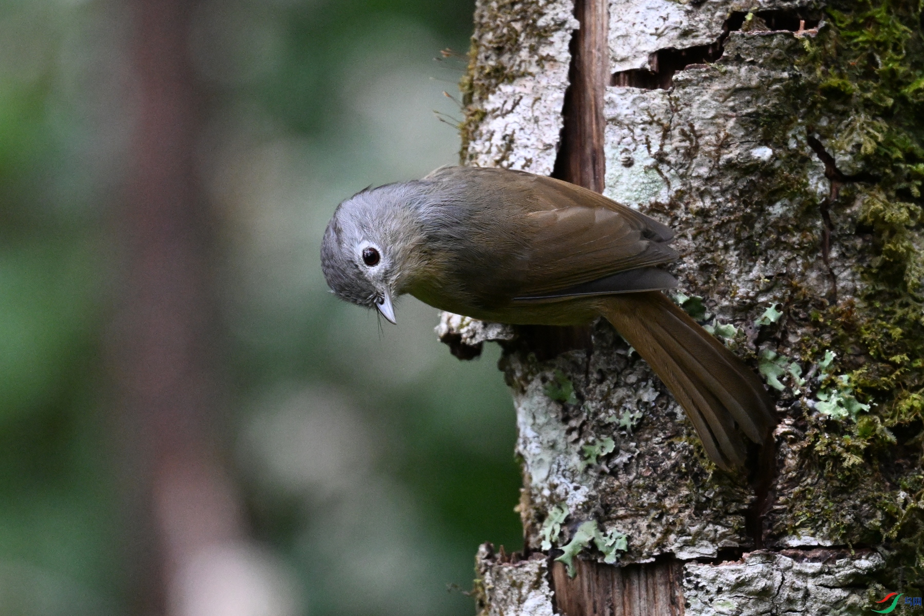 DSC_7107.JPG