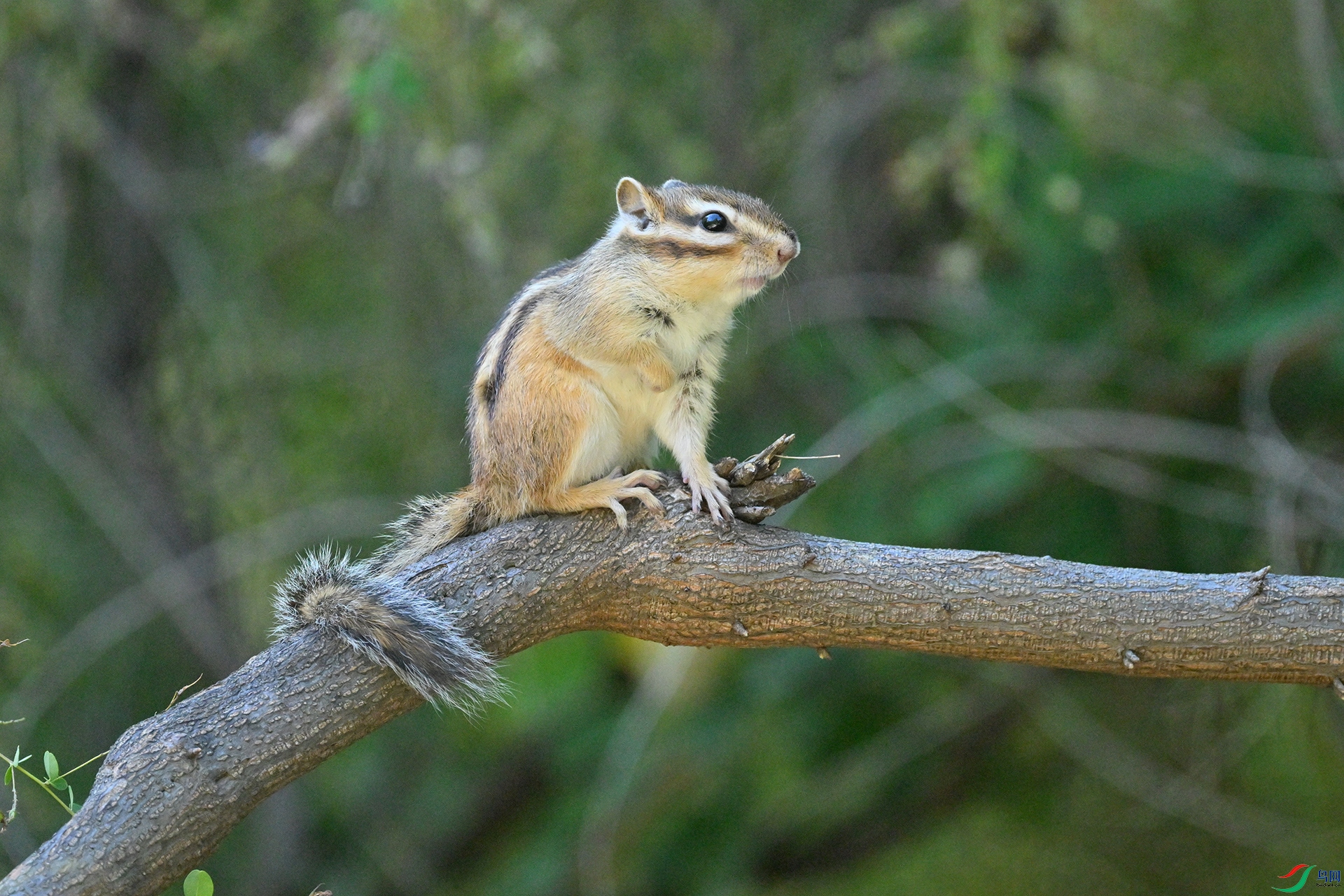 DSC_3718.jpg