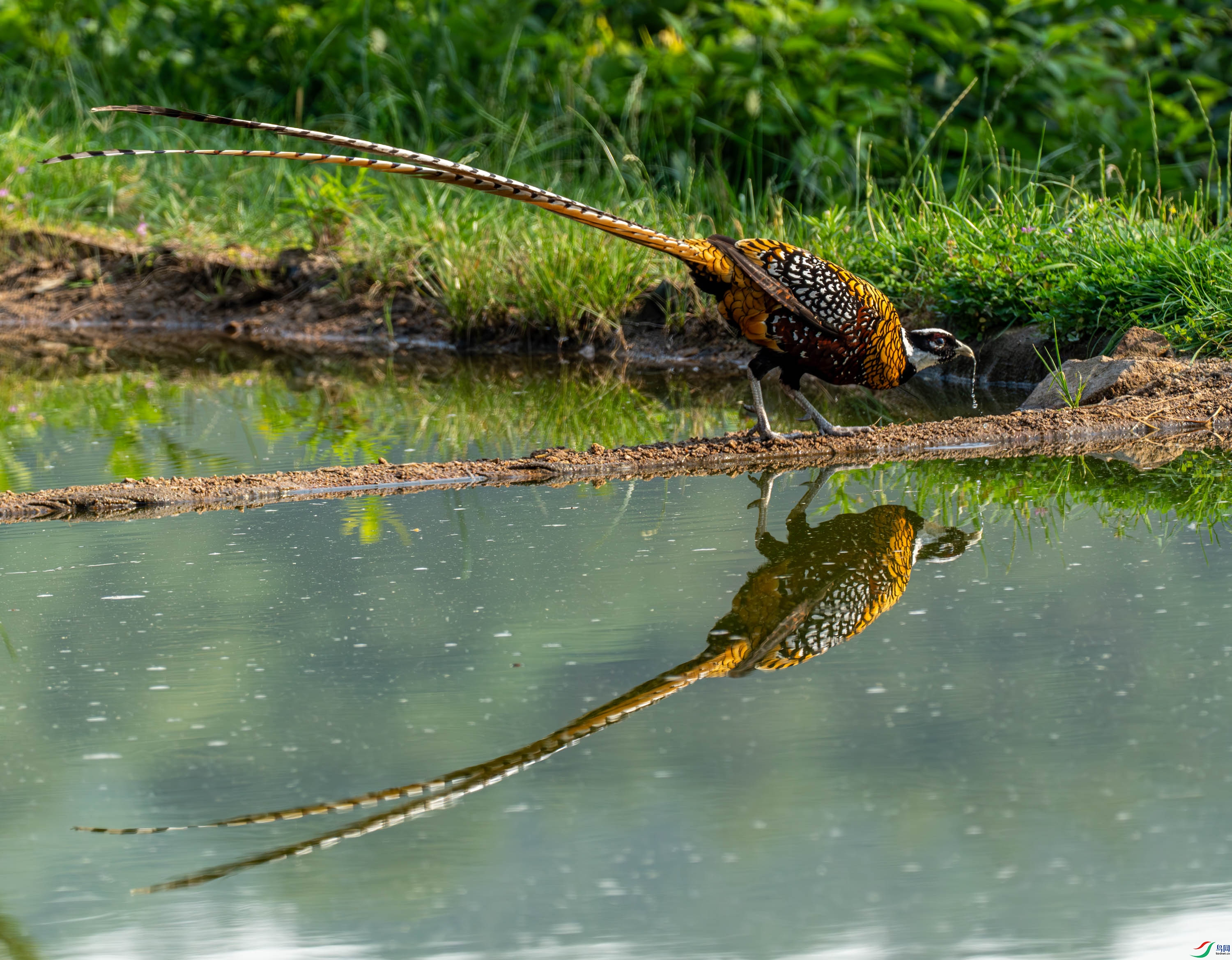 �׹ڳ�β�� (21 - 76).jpg