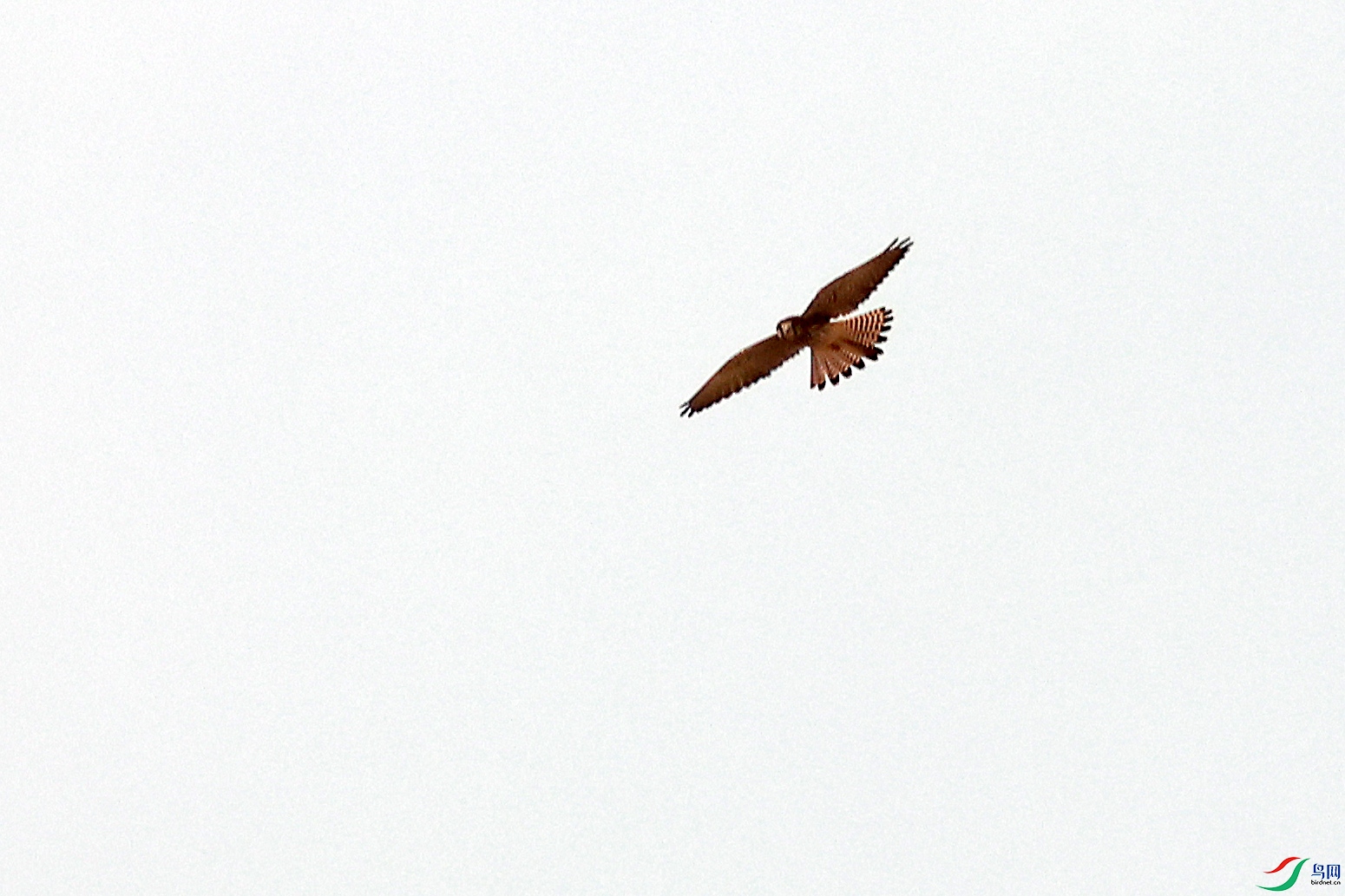 2G9A9459.JPG