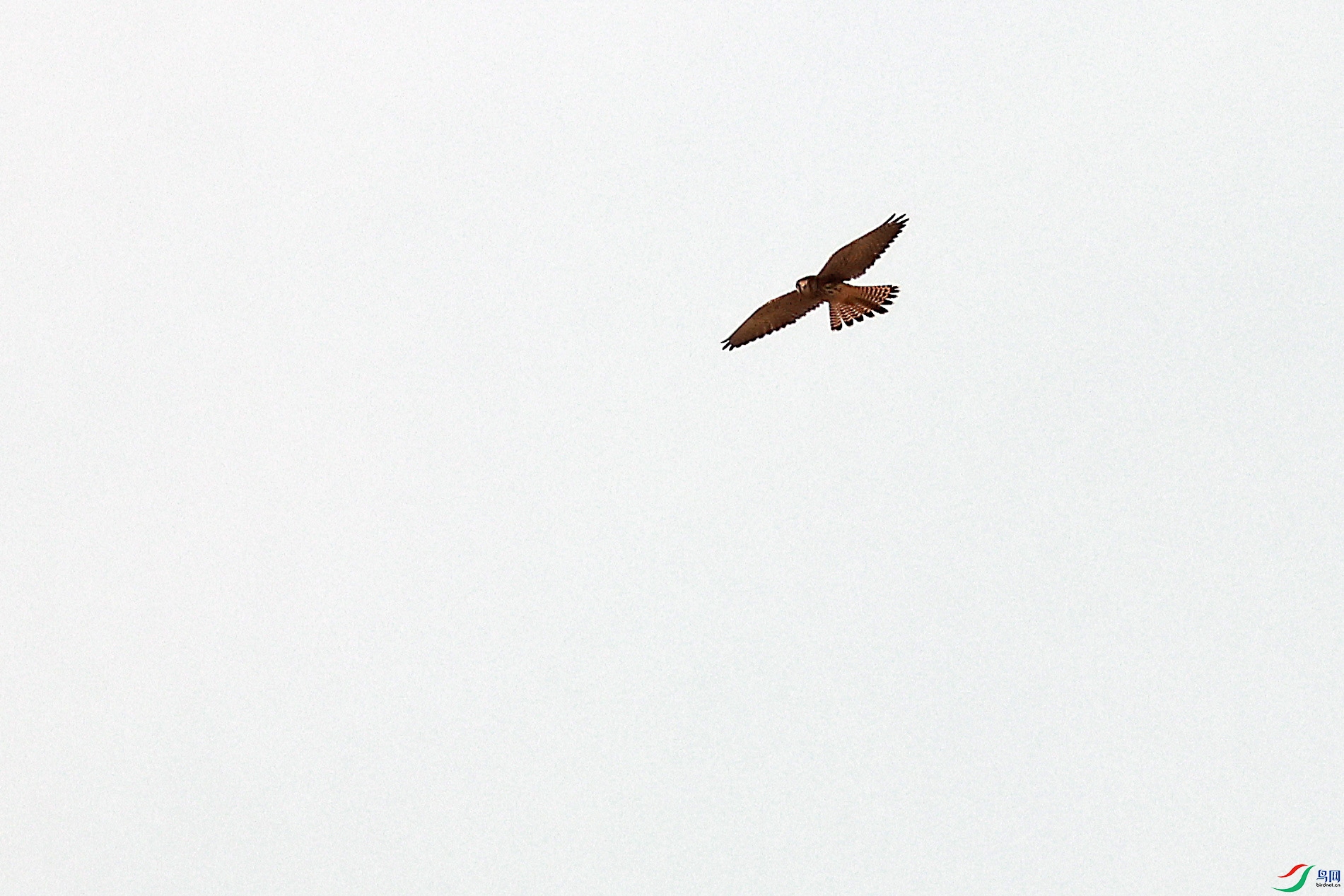 2G9A9460.JPG