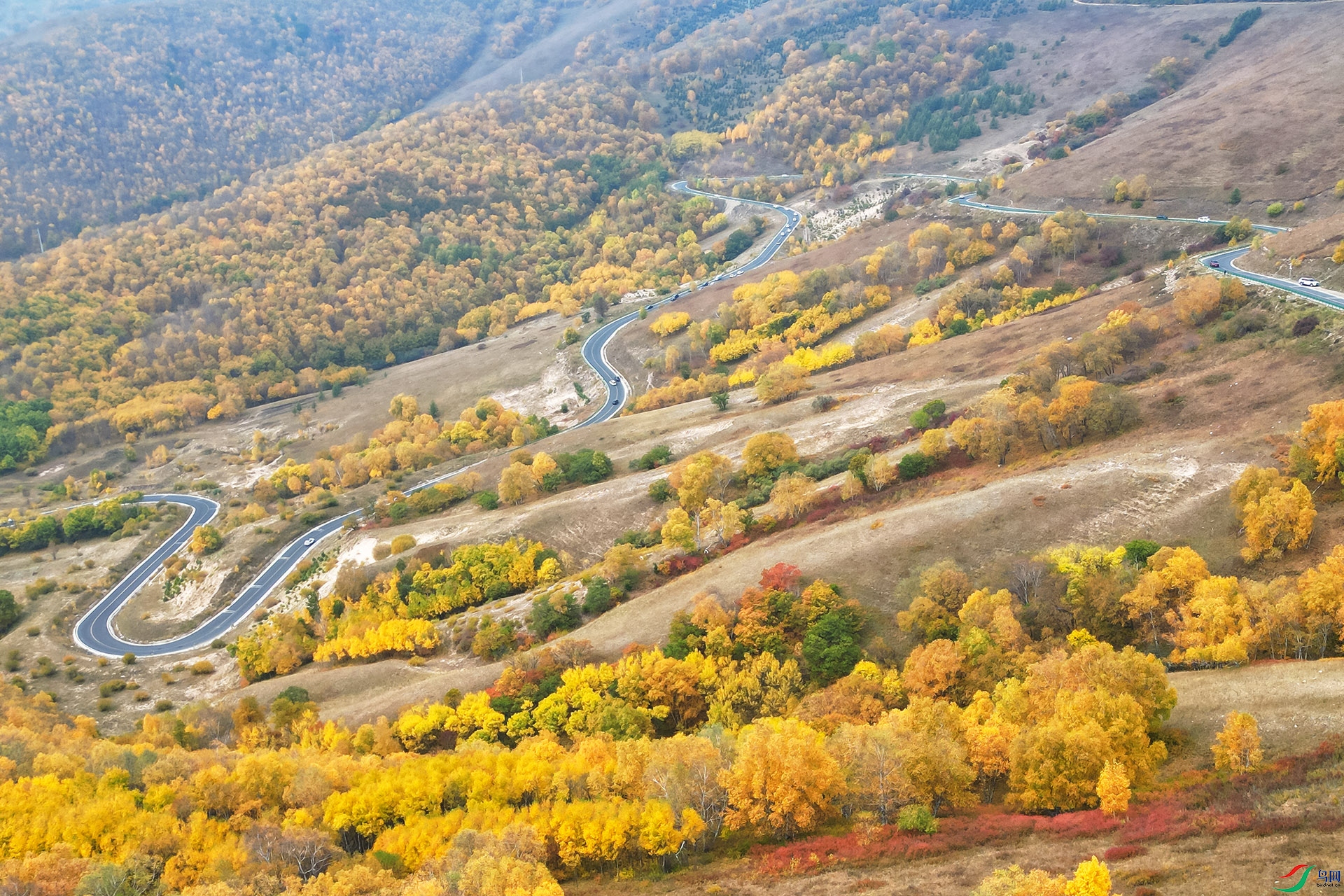 DJI_0088.JPG