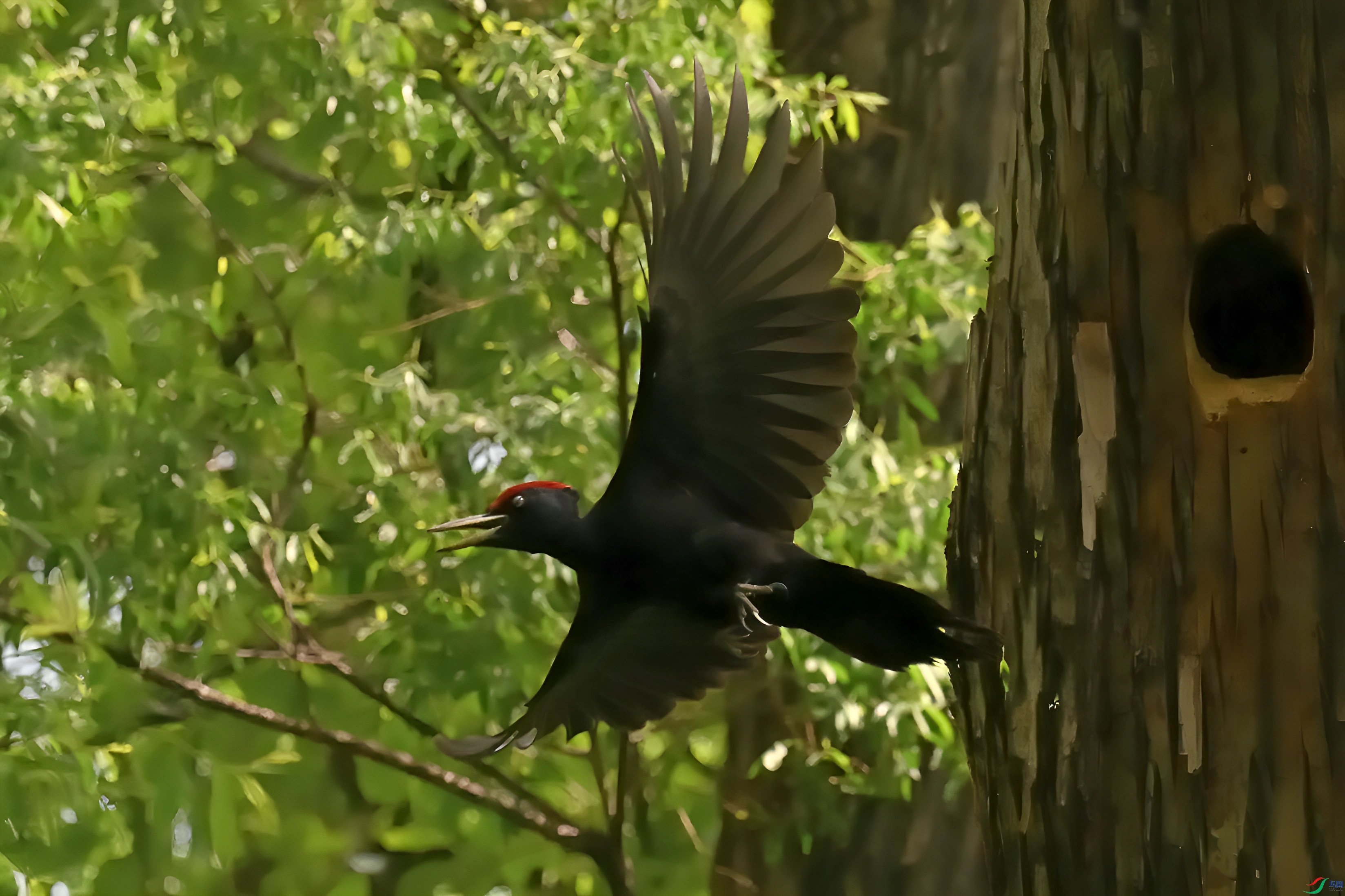 DSC_6551_����.jpg