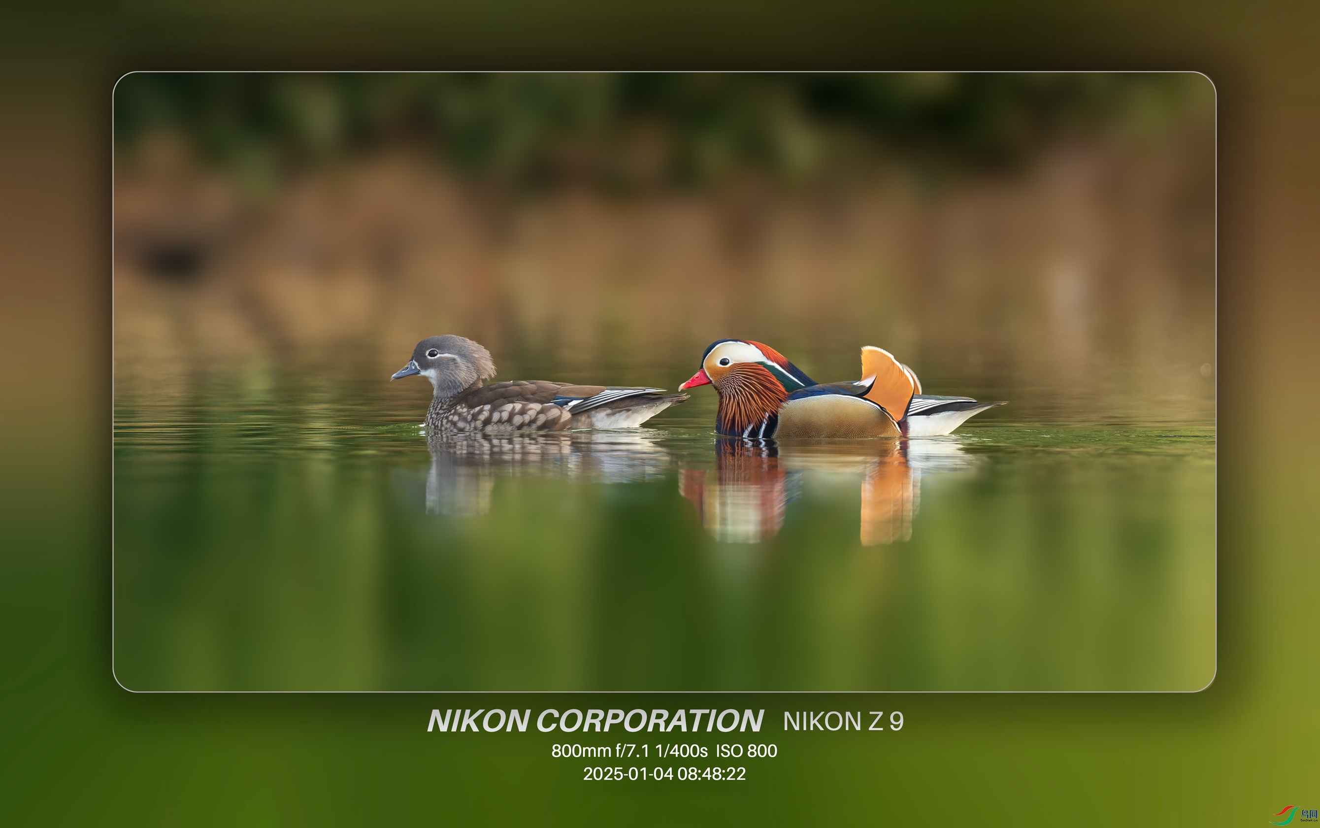 _DSC7301-NEF_DxO_DeepPRIMEXD.jpg