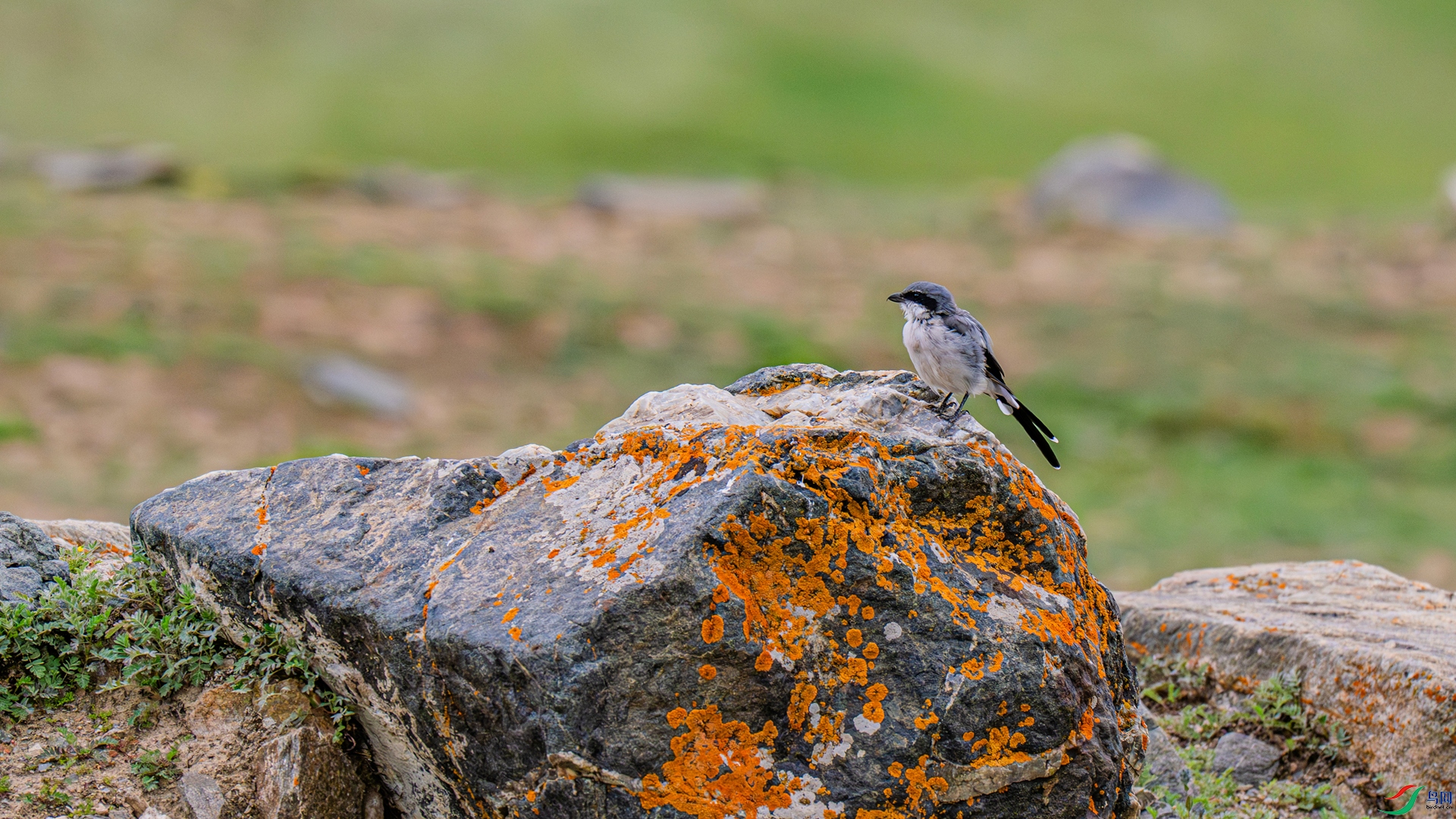 _DSC6585-2_����_����.jpg