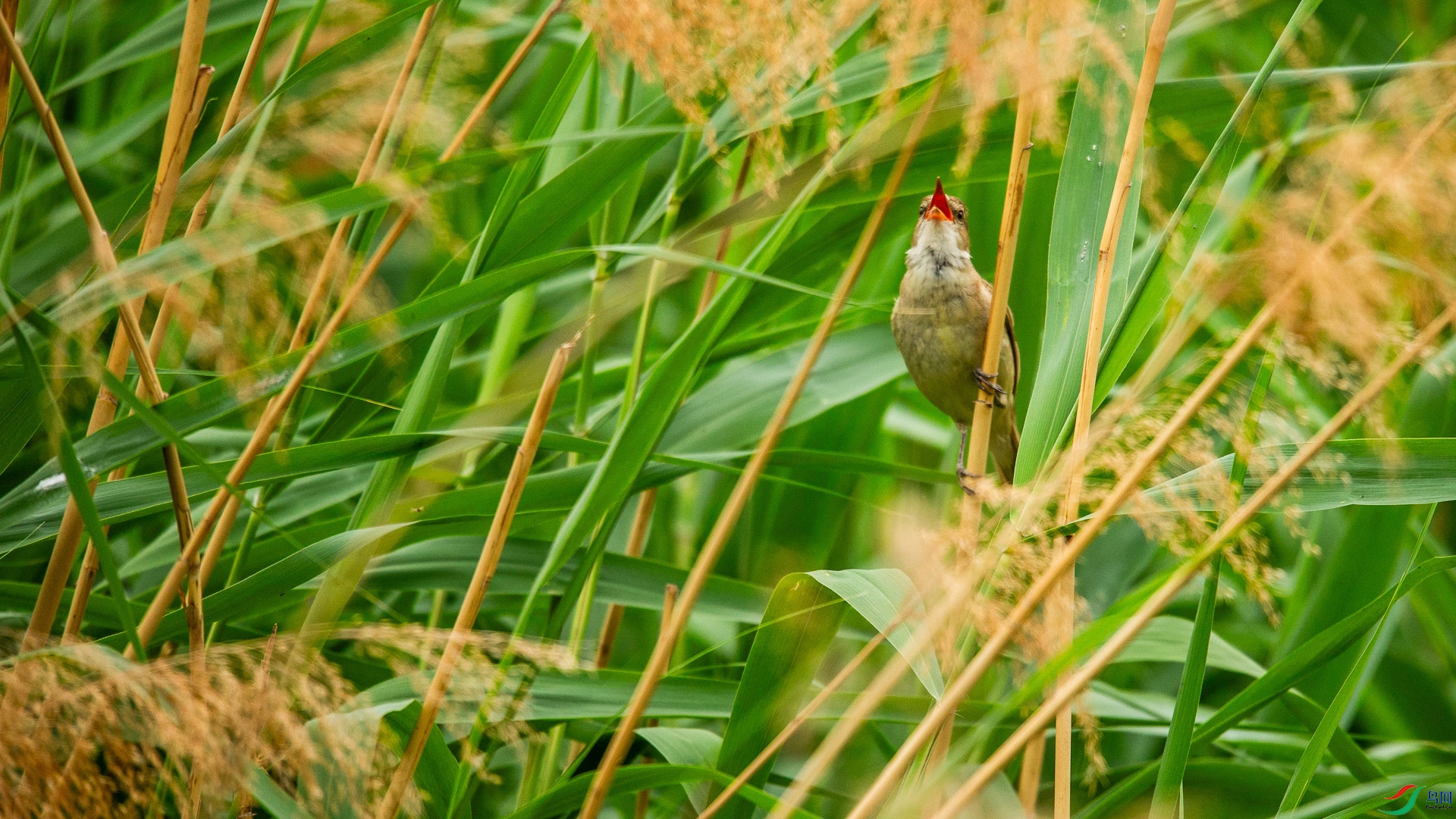 A48Z8701.jpg