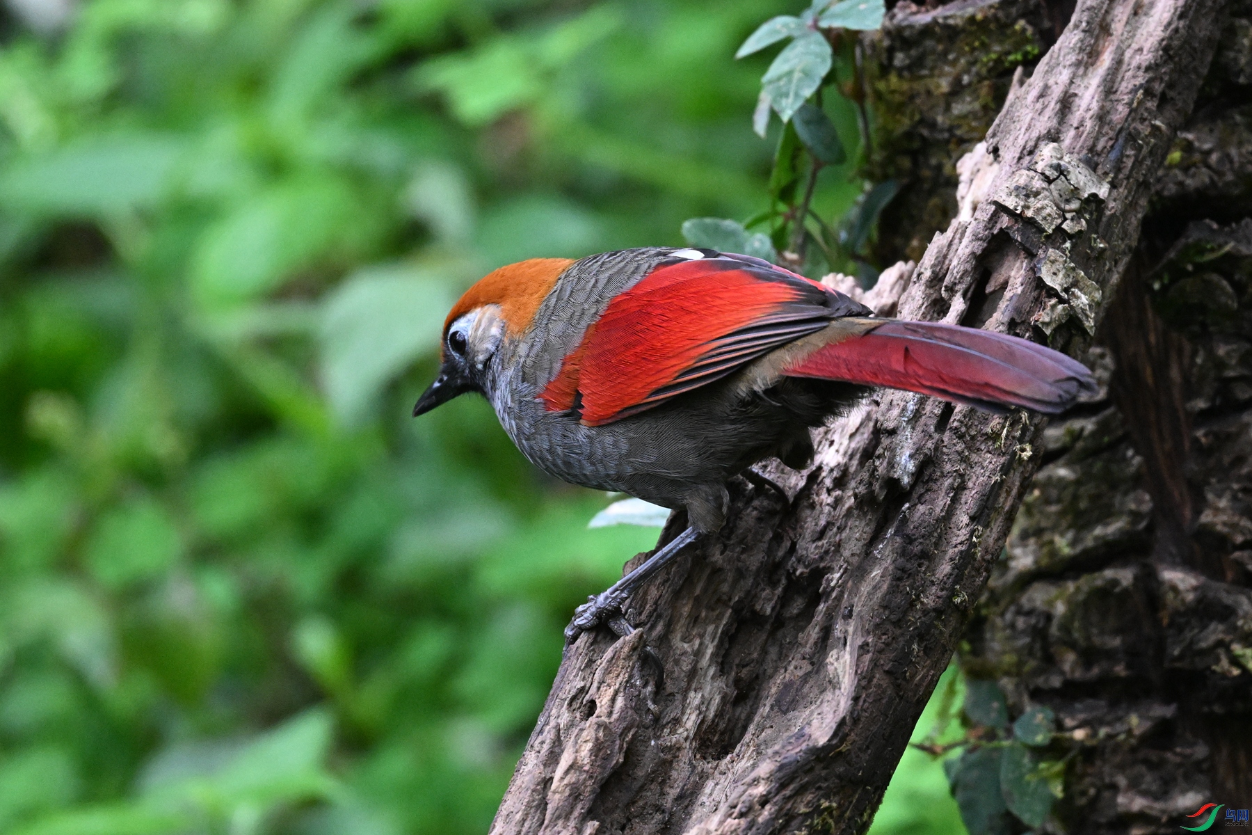 DSC_7121.JPG