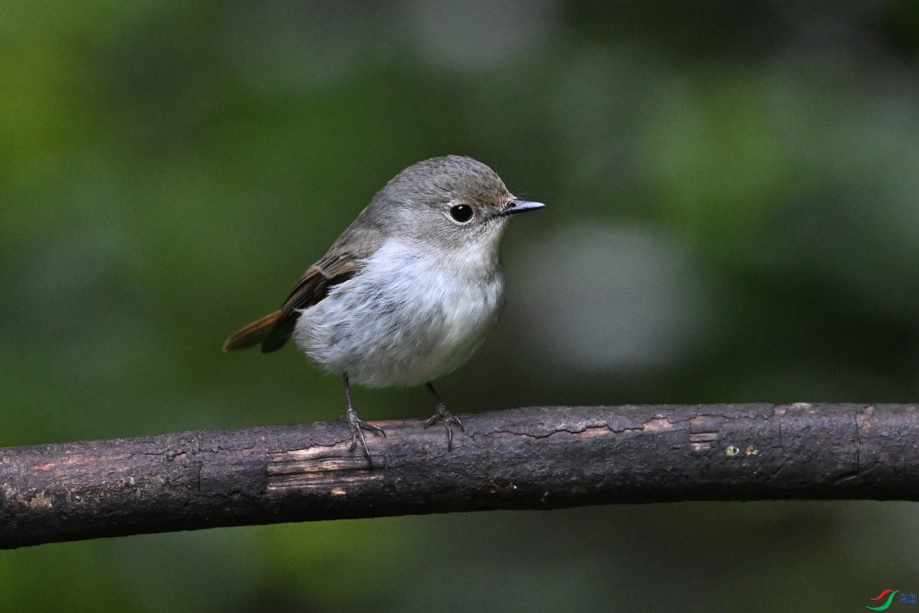 DSC_7179.JPG