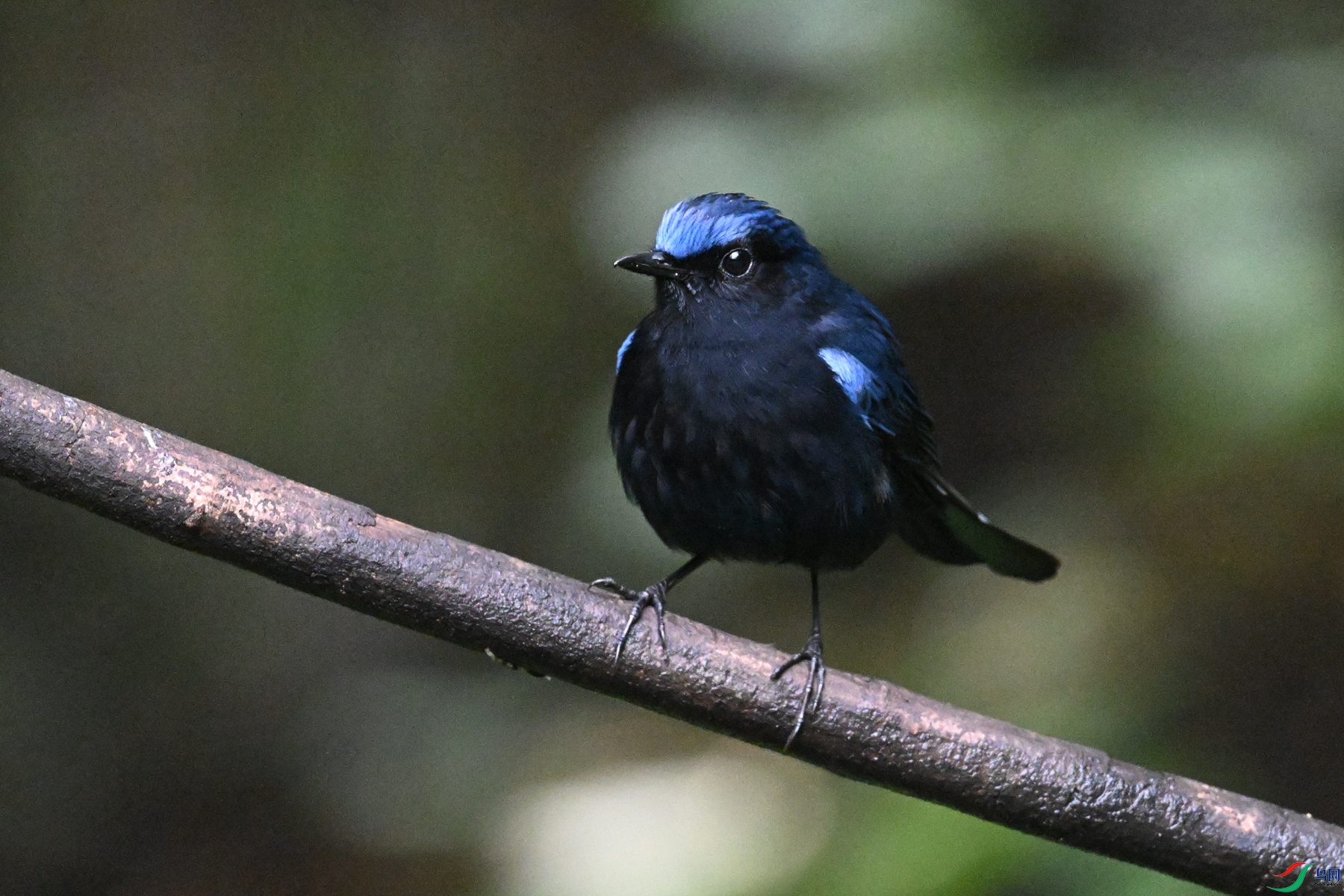 DSC_7184.JPG