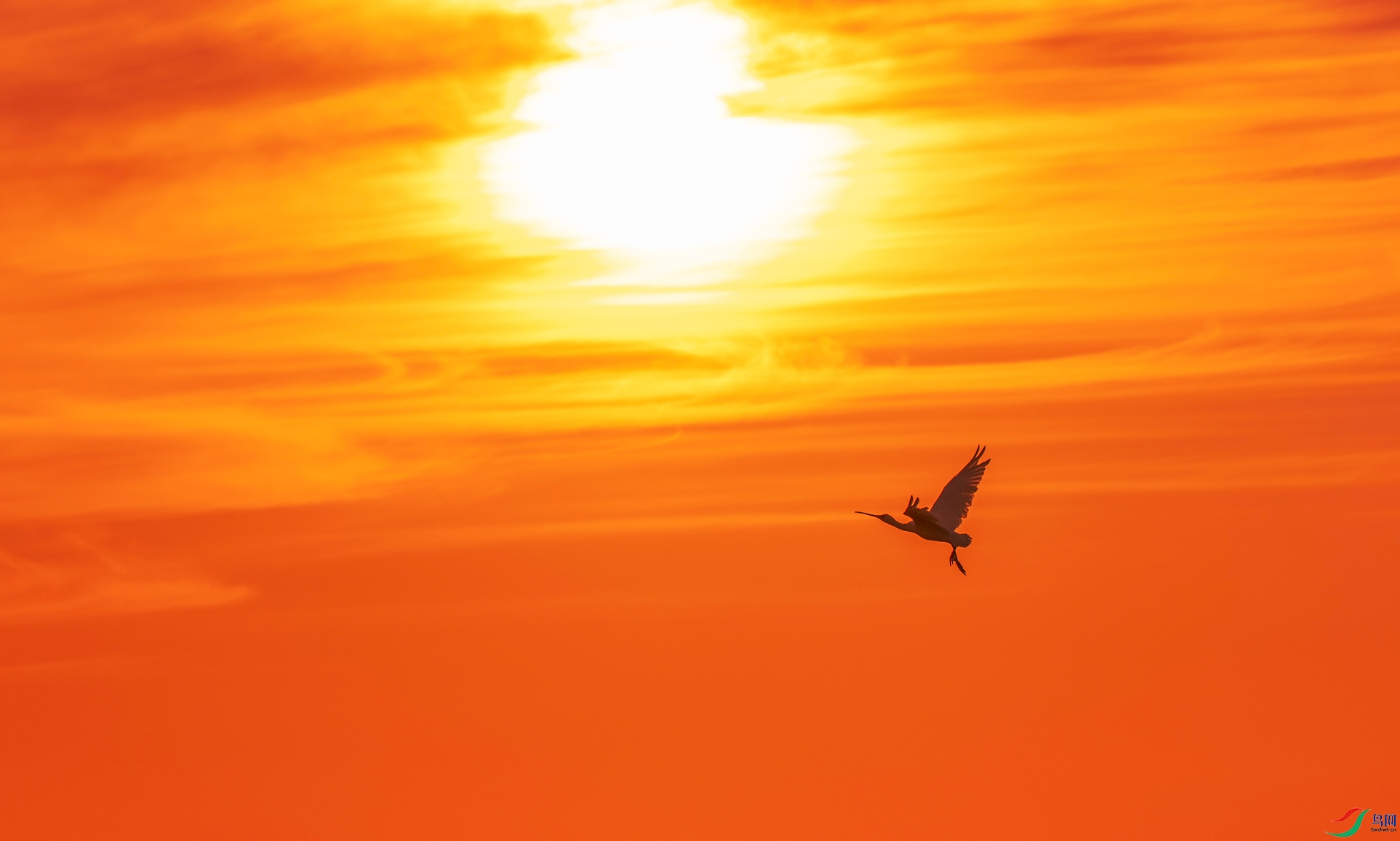 _DSC8055.jpg