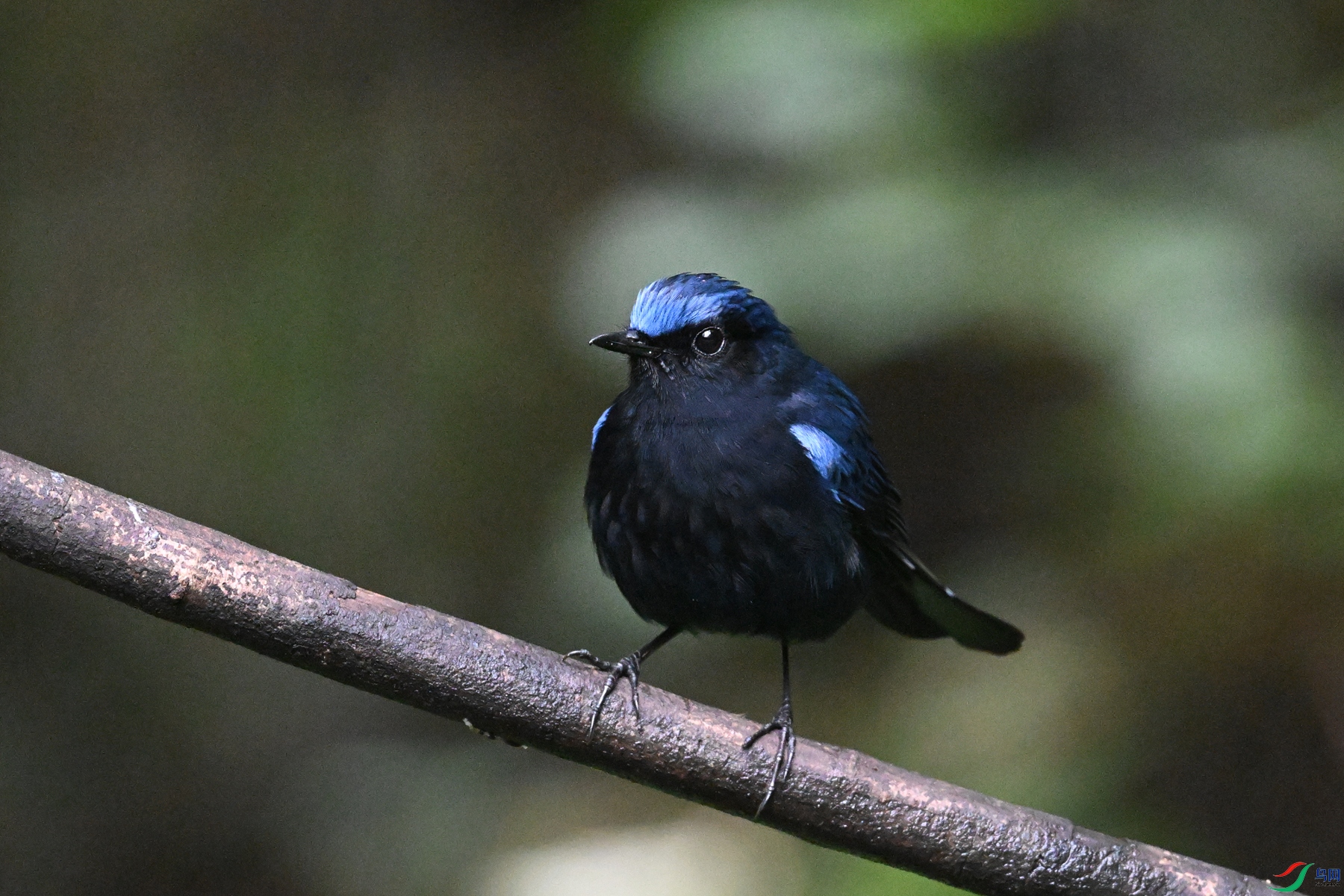DSC_7185.JPG