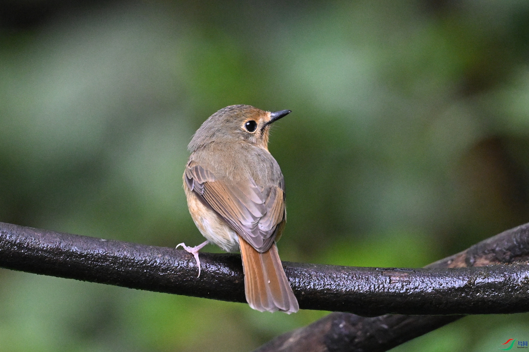 DSC_7187.JPG