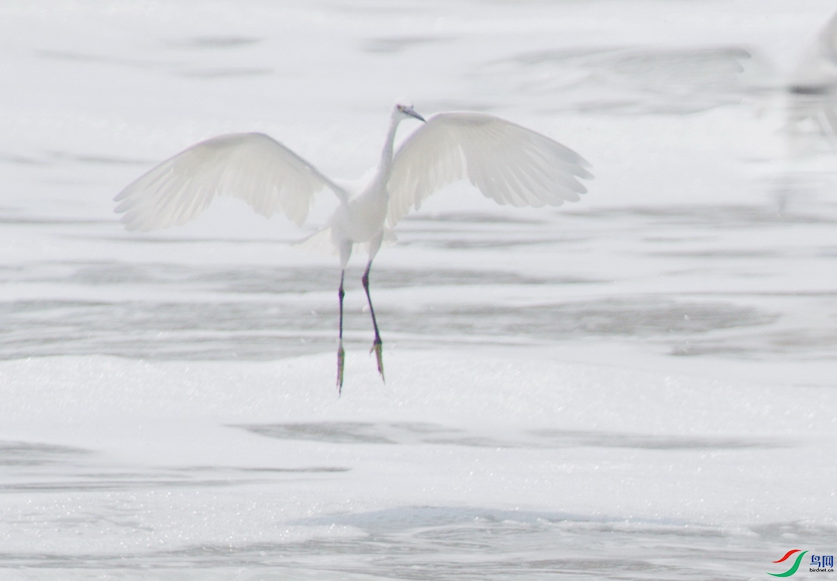 _DSC9112xcv_������С.jpg